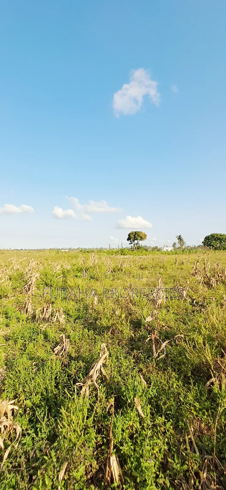 For Sale 10 Acres Prime Land Mariakani in Mariakani