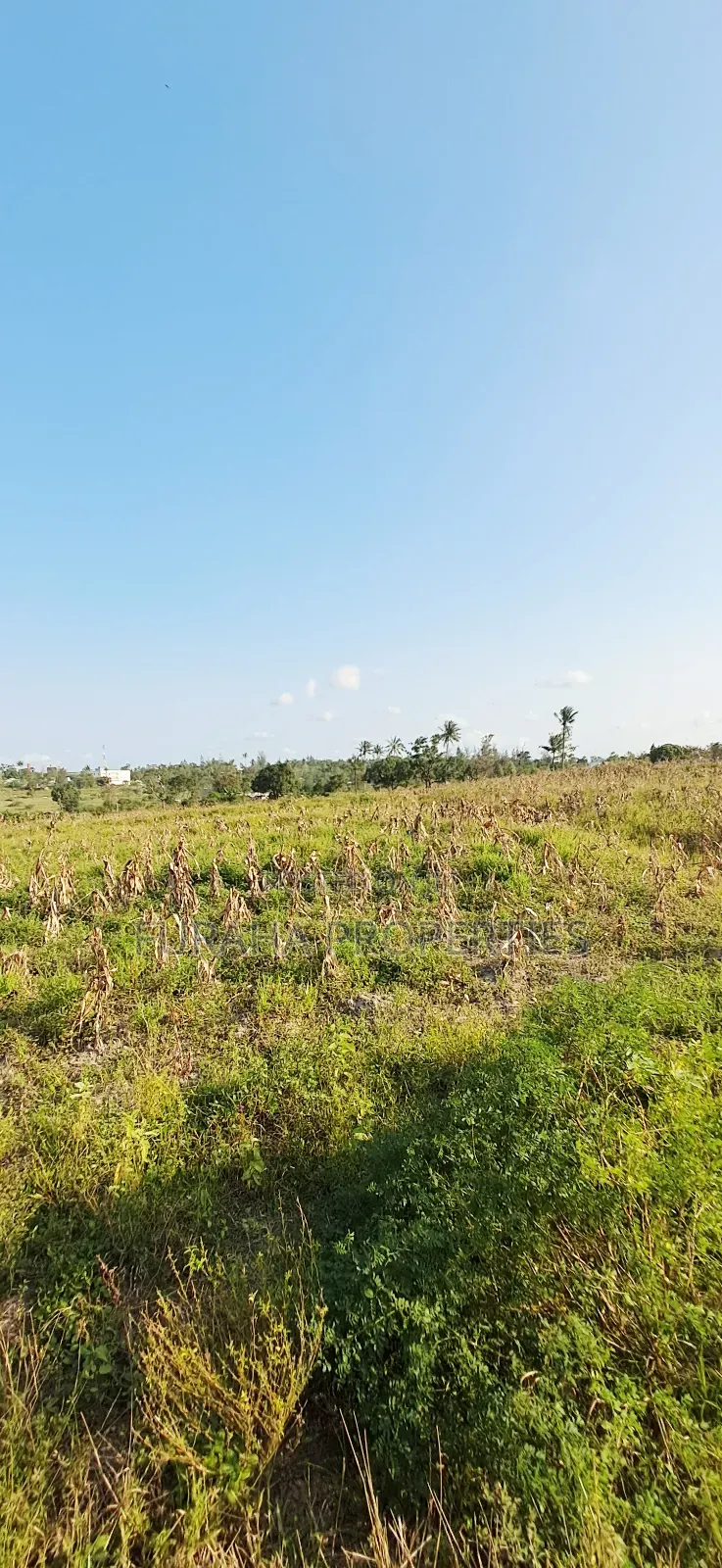 For Sale 10 Acres Prime Land Mariakani in Mariakani