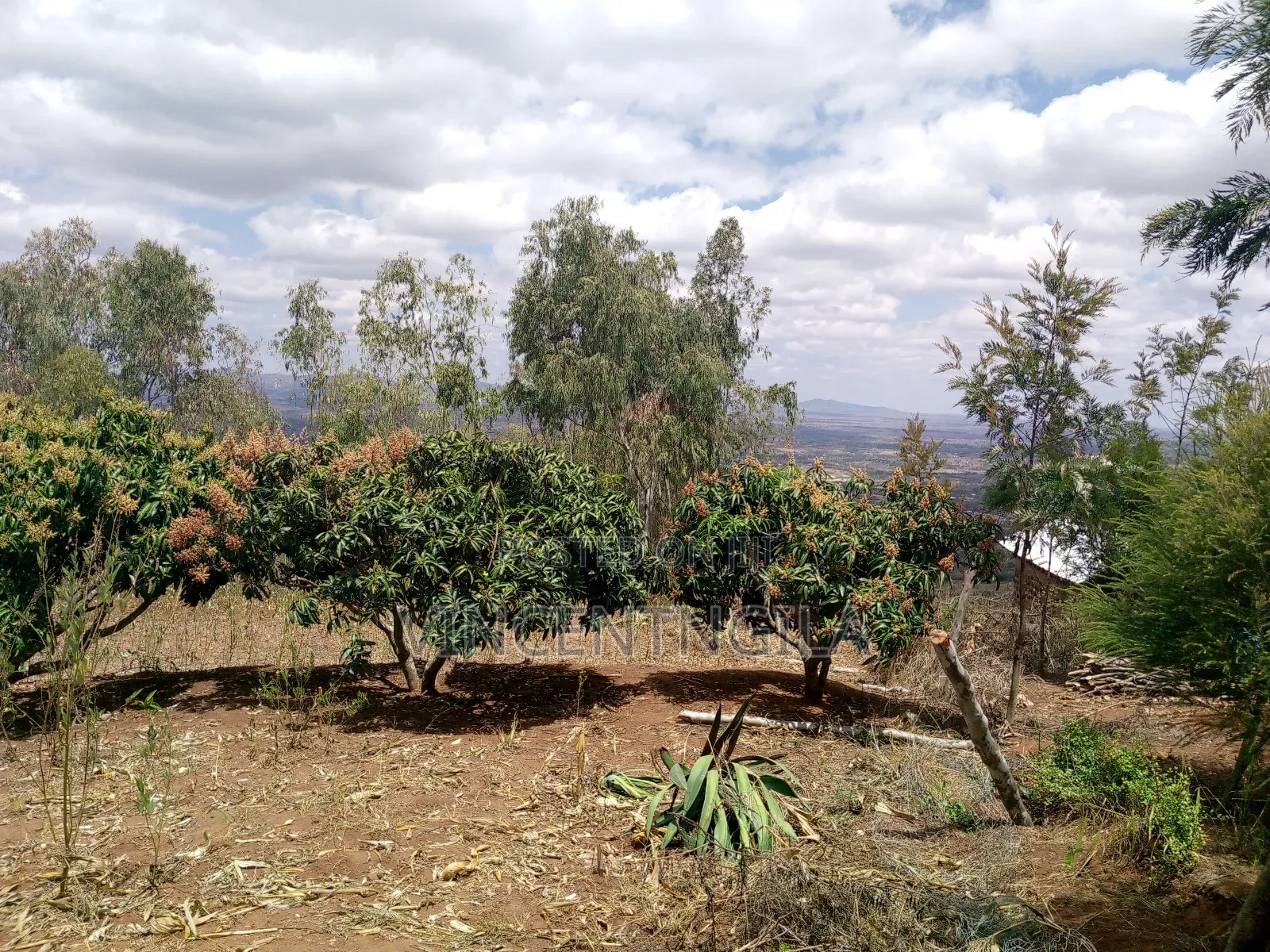Mua Hills 10 Acres in Mua Hills
