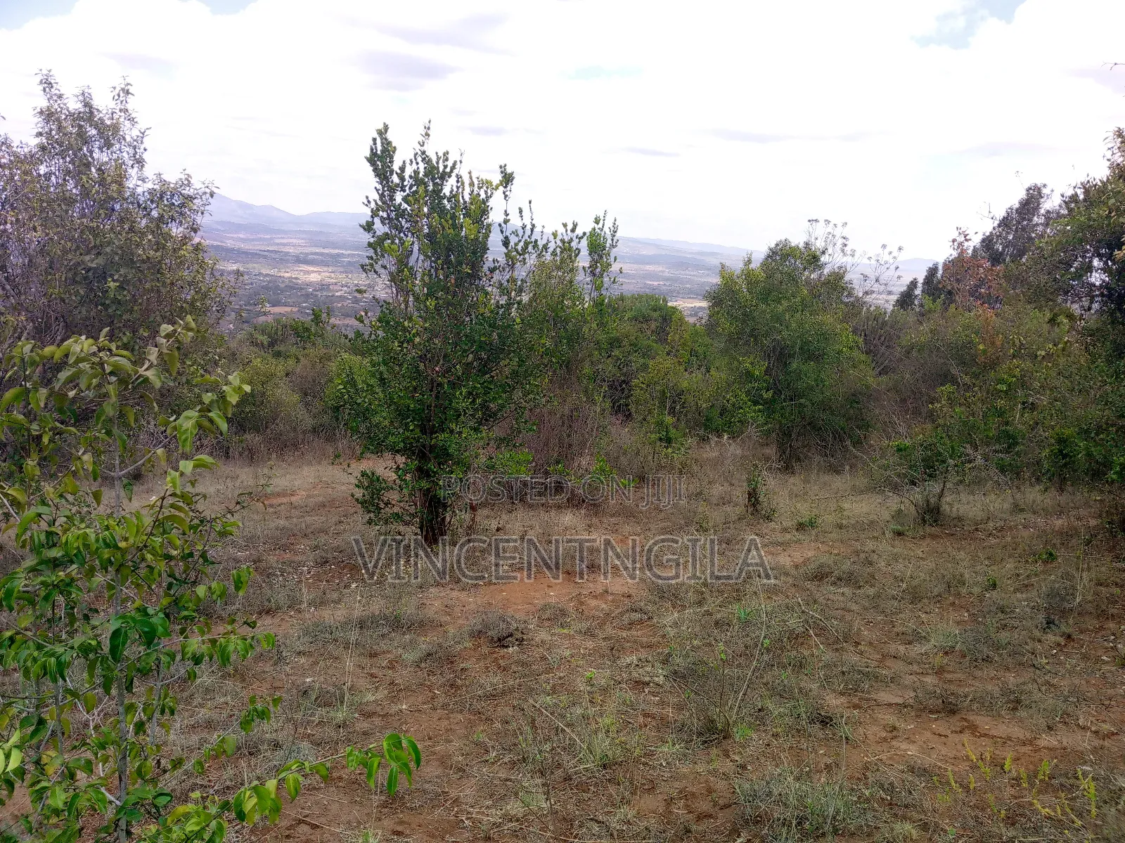 Mua Hills 10 Acres in Mua Hills
