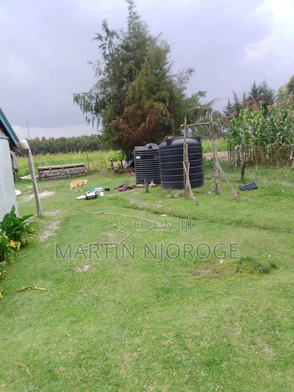 1.75 Acres Memo, North Kinangop in Murungaru