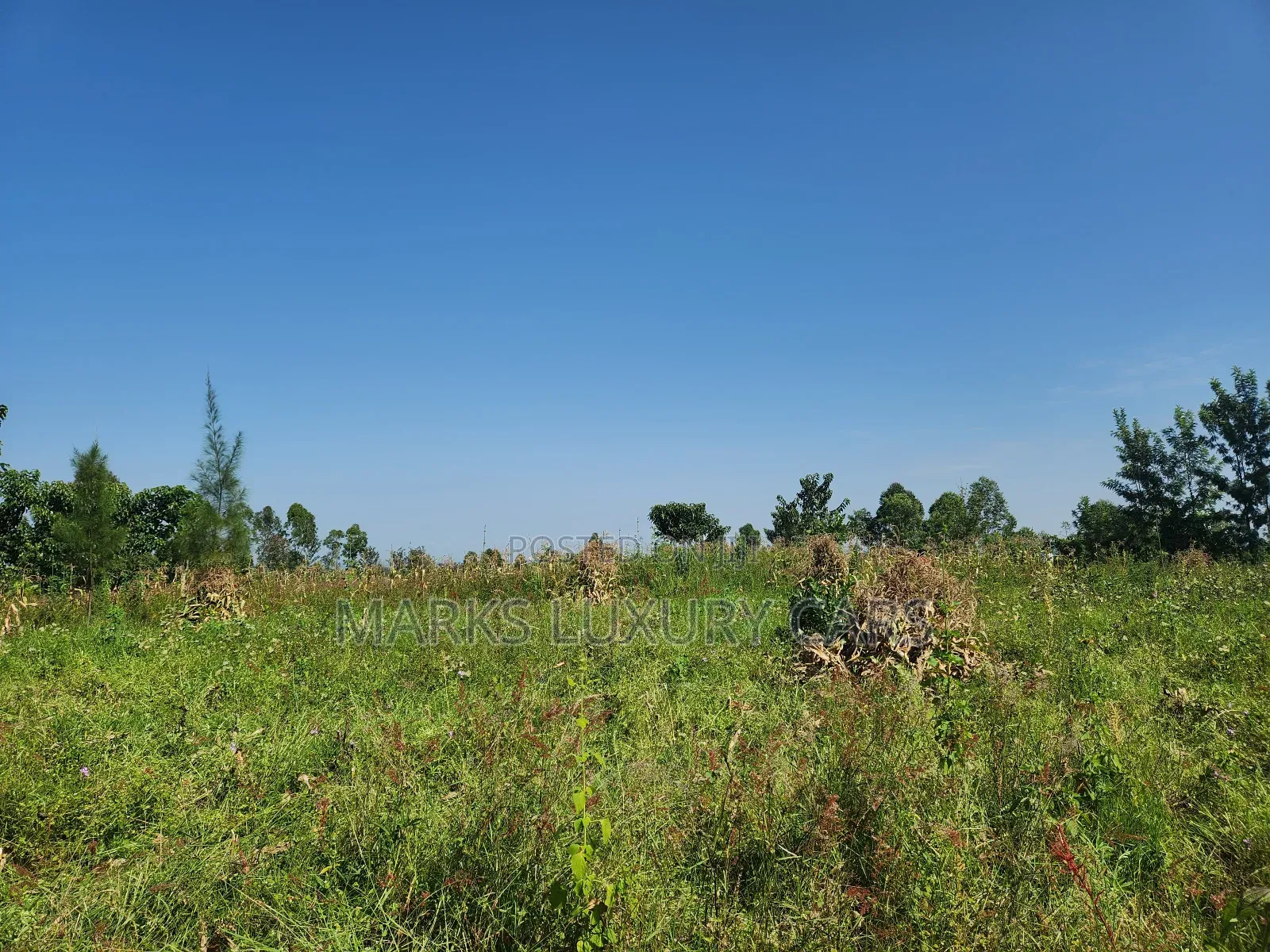 Prime Farming Land for Sale in Kagan