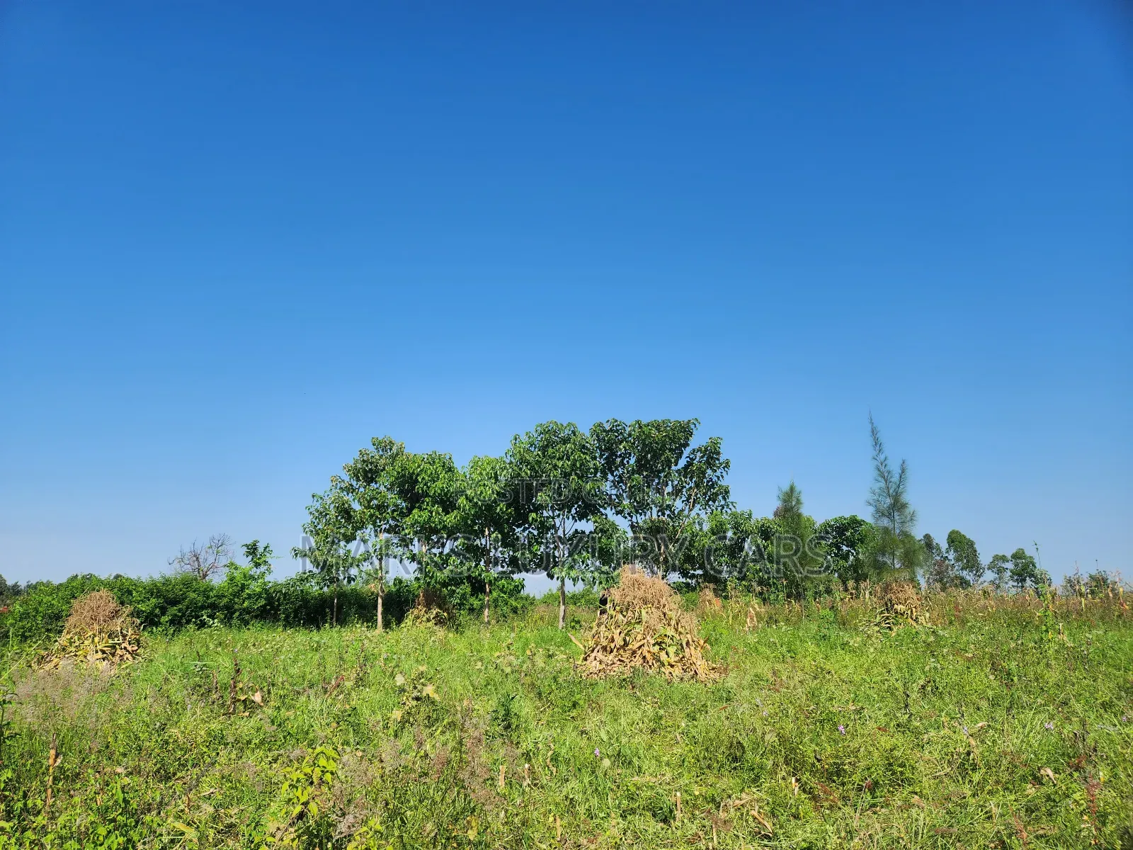 Prime Farming Land for Sale in Kagan