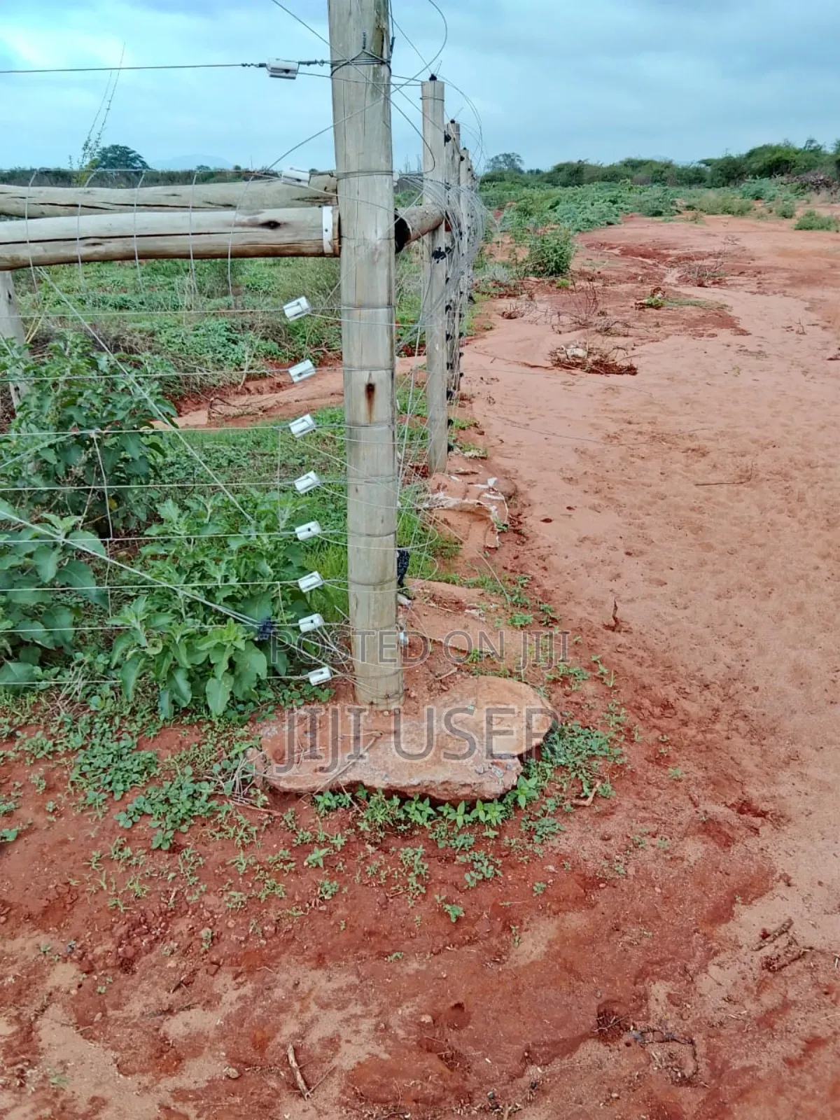 18 Acres in Taita Taveta,With Electric Fence,Water,Drip,Staff and More in Mata