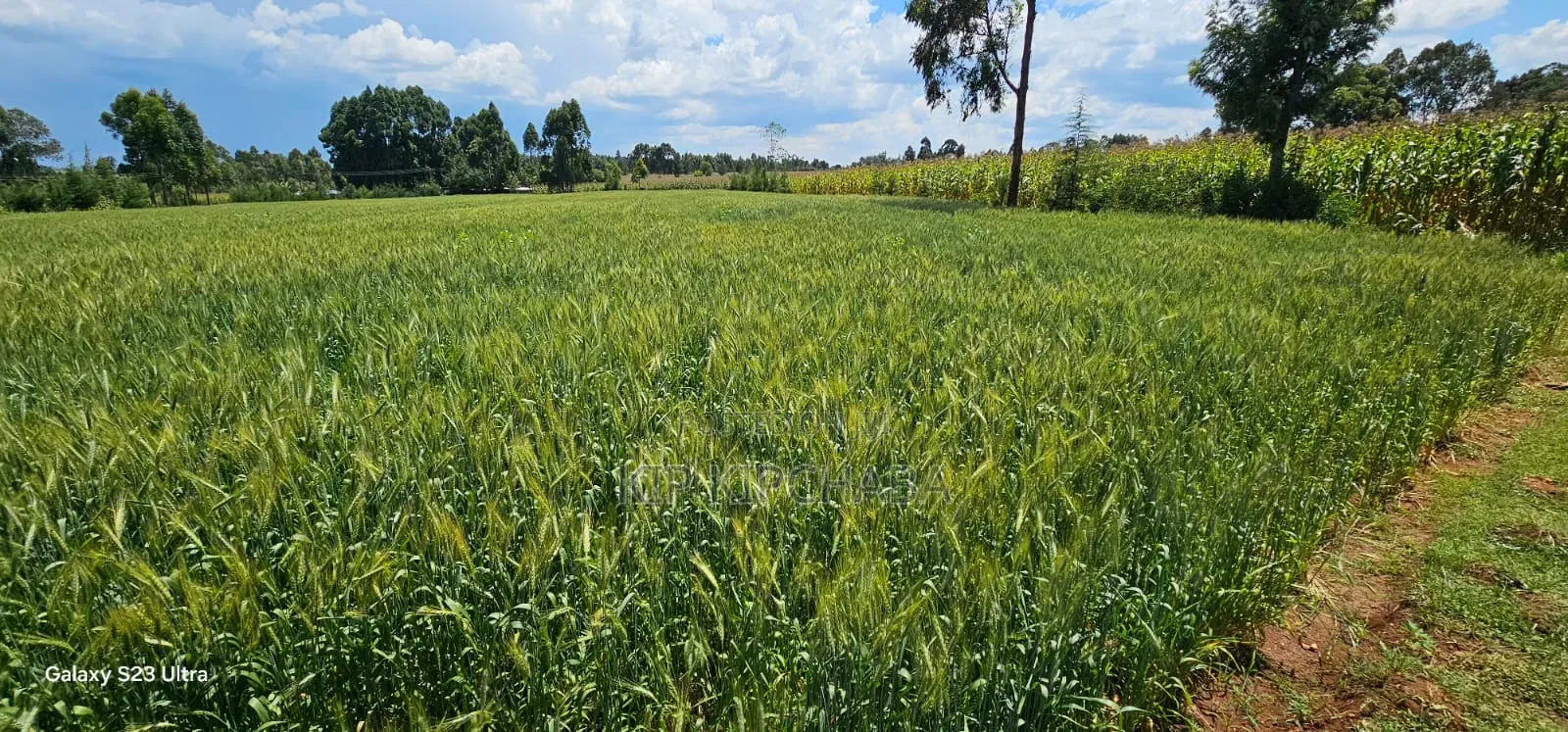 6 Acres for Sale in Naiberi Near Plateau in Eldoret in Kaptagat