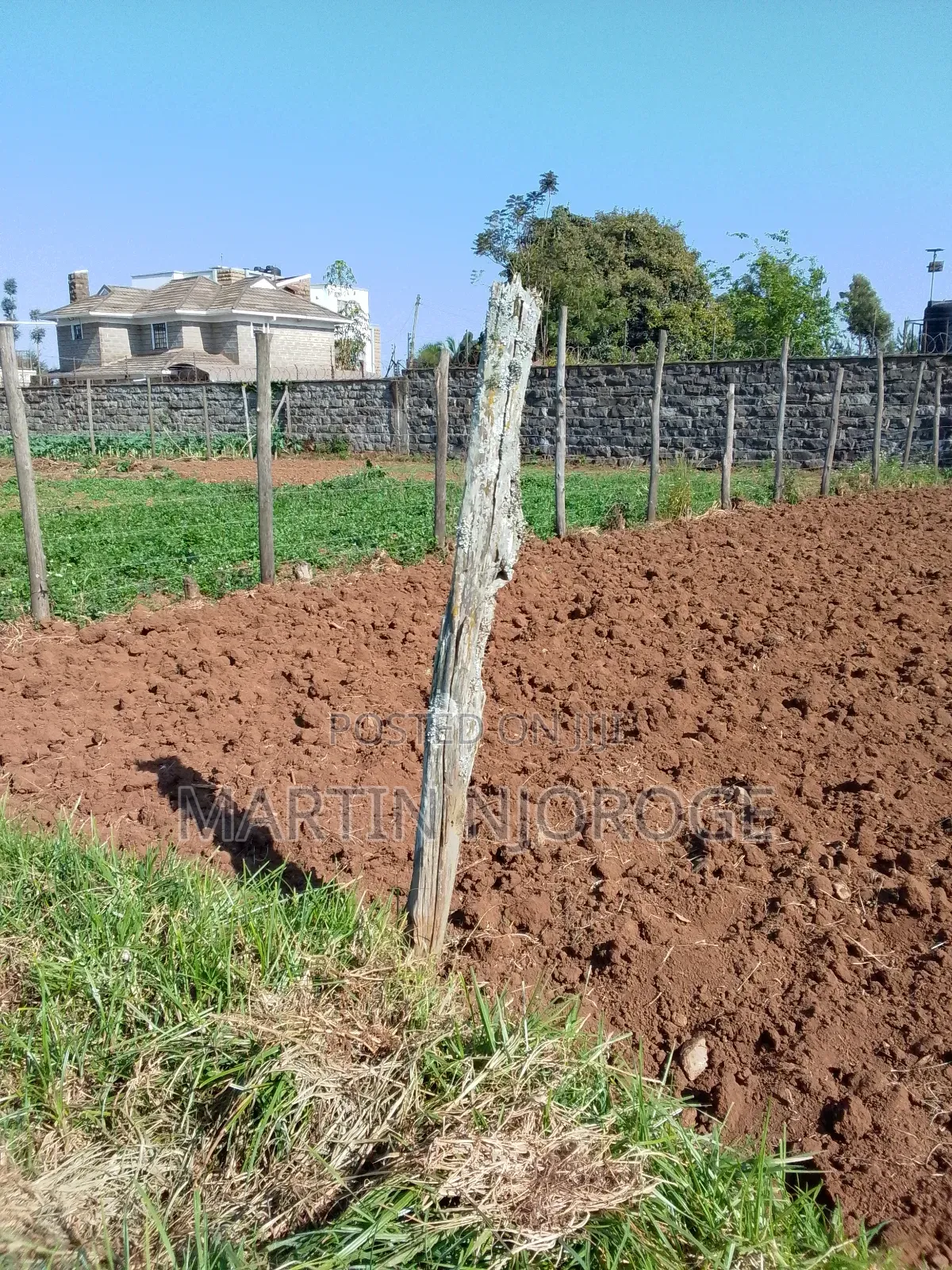 1⁄4 Nyambari, Uplands in Lari/Kirenga