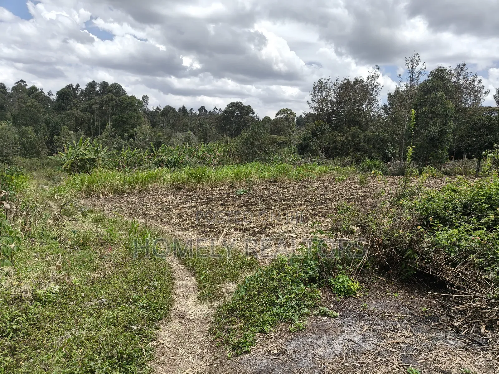Residential Eighth Acre Plot in Ngong, Olkeri Near in Ol Keri