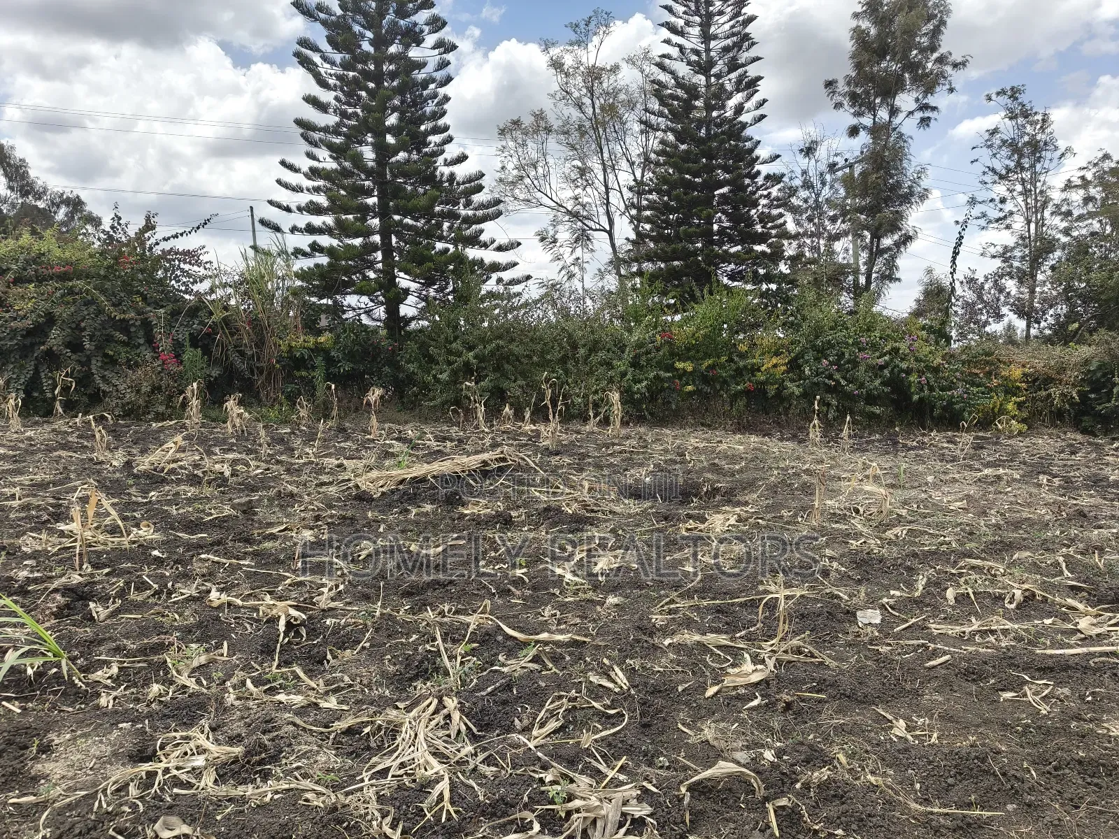 Residential Eighth Acre Plot in Ngong, Olkeri Near in Ol Keri