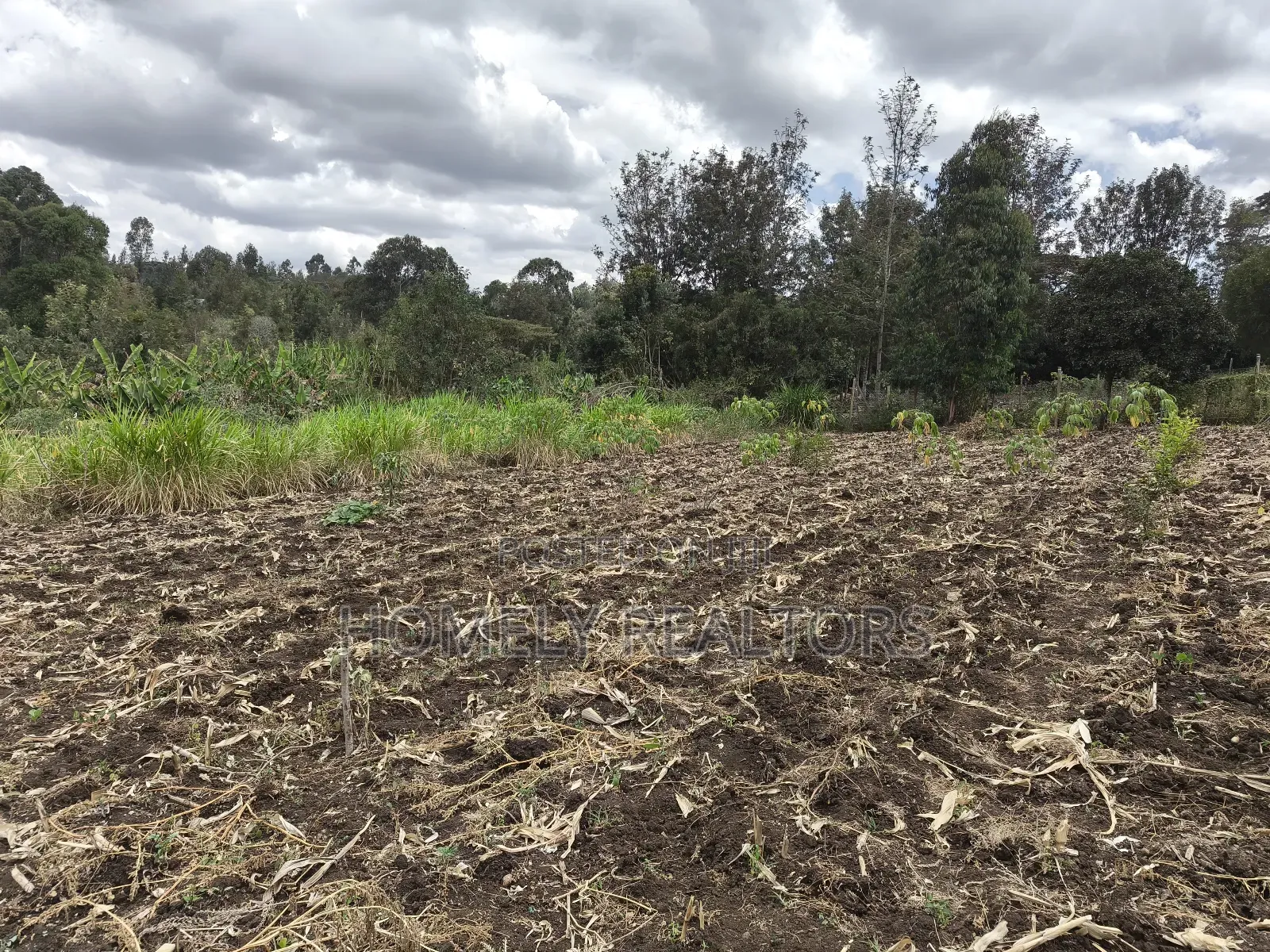 Residential Quarter Acre Corner Plot in Ngong, Ol Keri for Sale. in Ol Keri