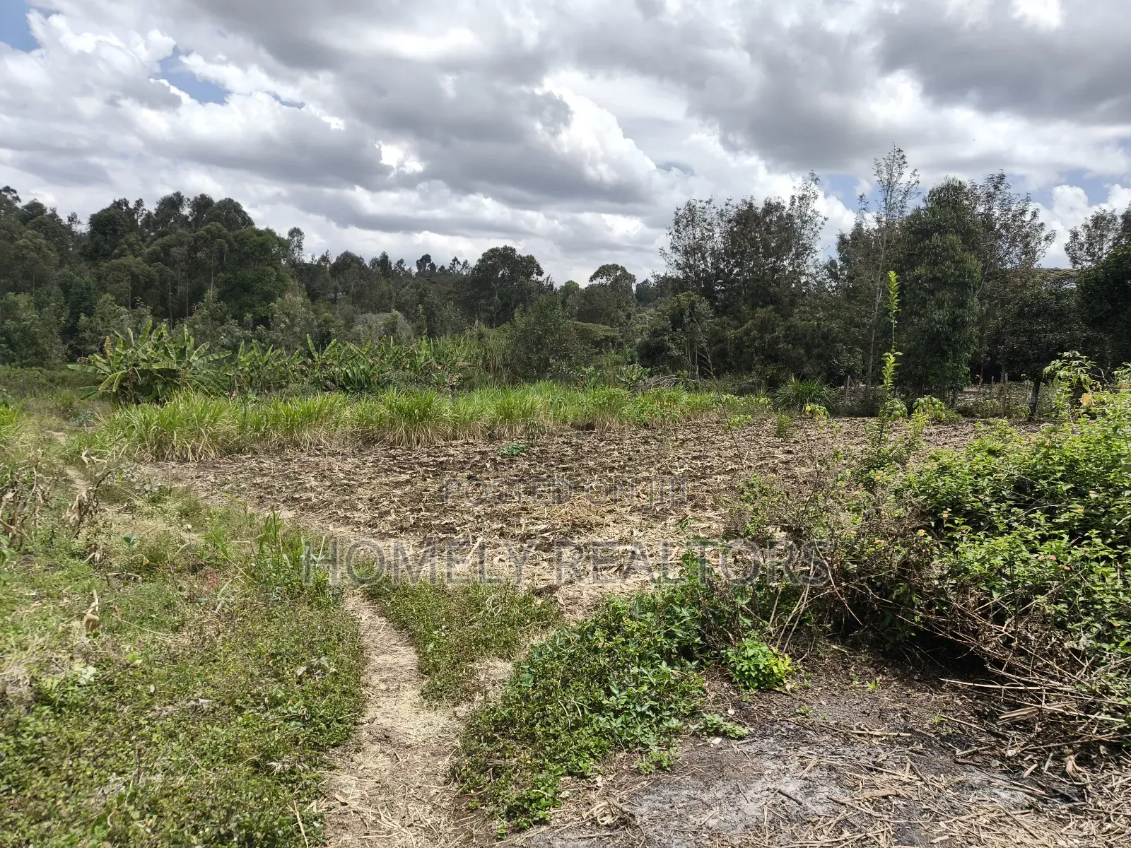Residential Quarter Acre Corner Plot in Ngong, Ol Keri for Sale. in Ol Keri