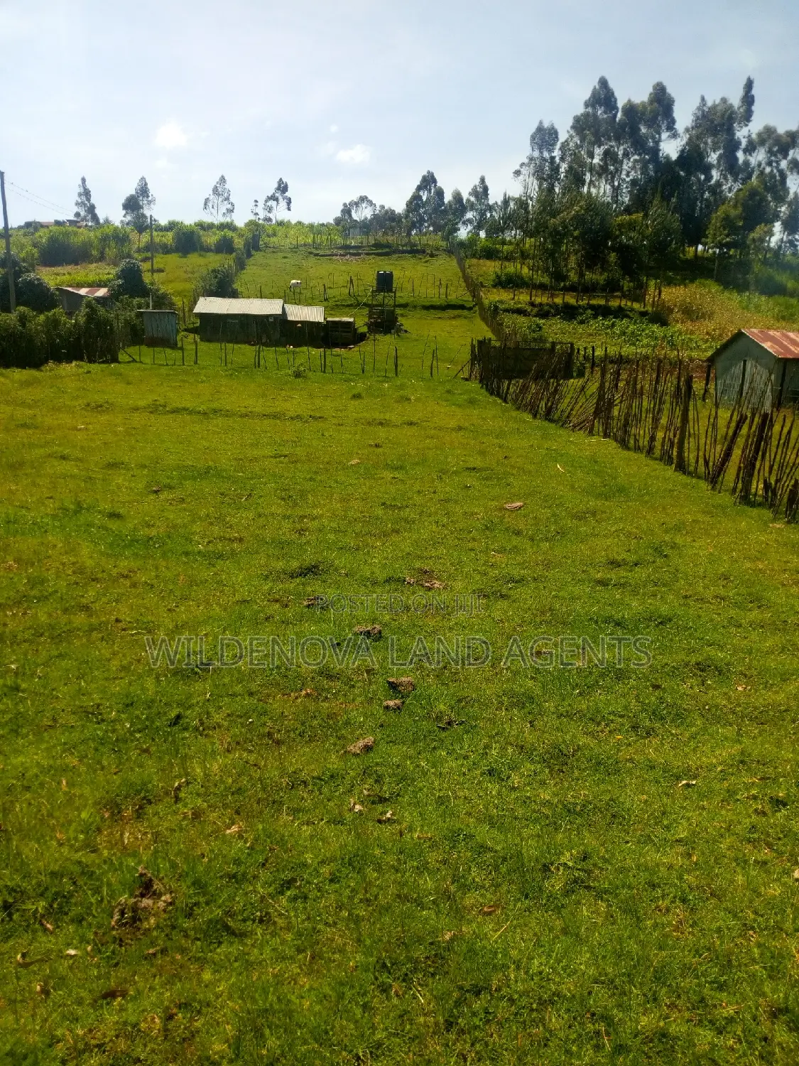 Discounted 3/4 Sleeve Tops Near Kimende Town, Kiambu in Lari