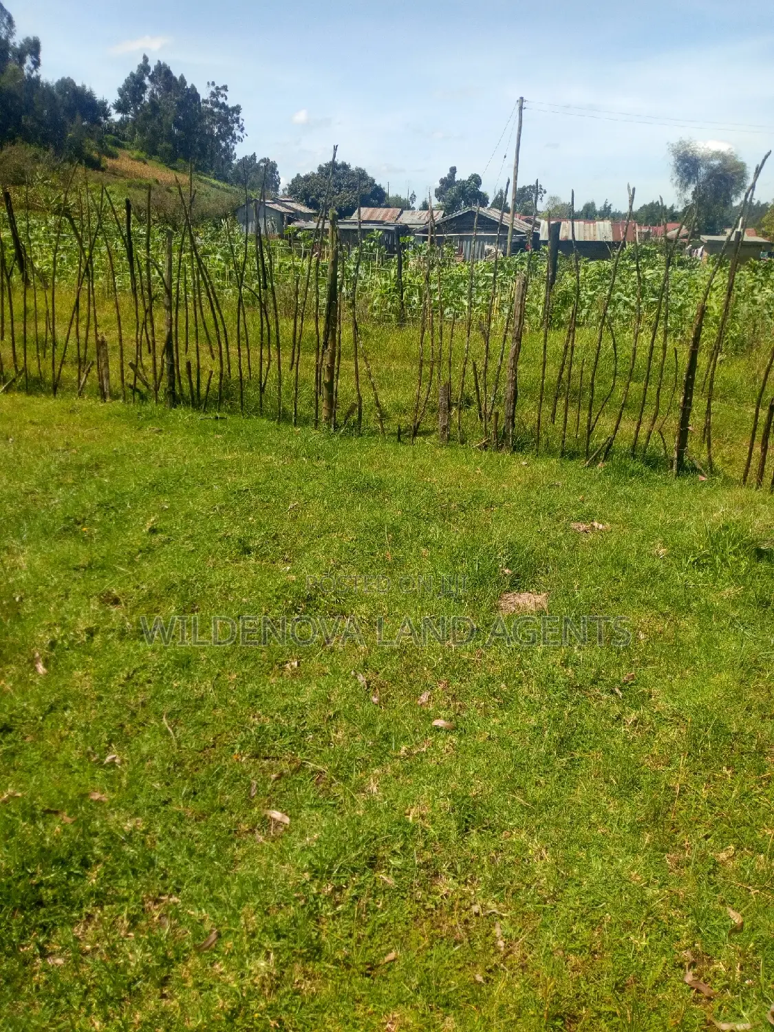 Discounted 3/4 Sleeve Tops Near Kimende Town, Kiambu in Lari
