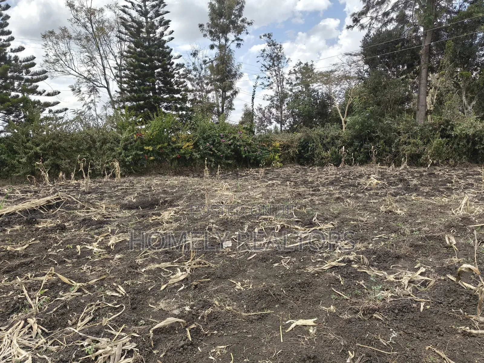 Residential Quarter Acre Corner Plot in Ngong, Ol Keri for Sale. in Ol Keri