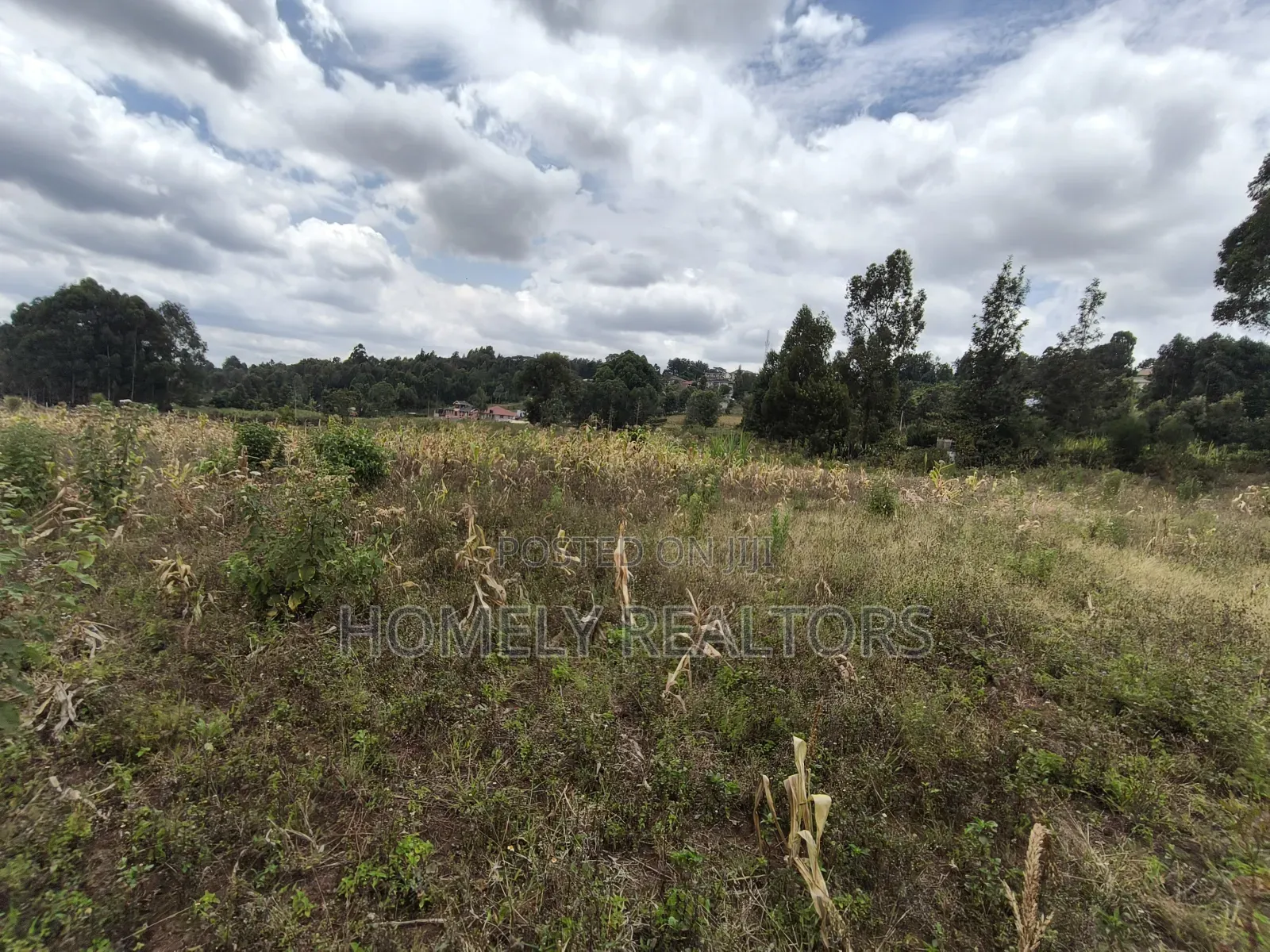 Residential Eighth Acre Plot in Ngong Along Maragara Road for Sale. in Ngong