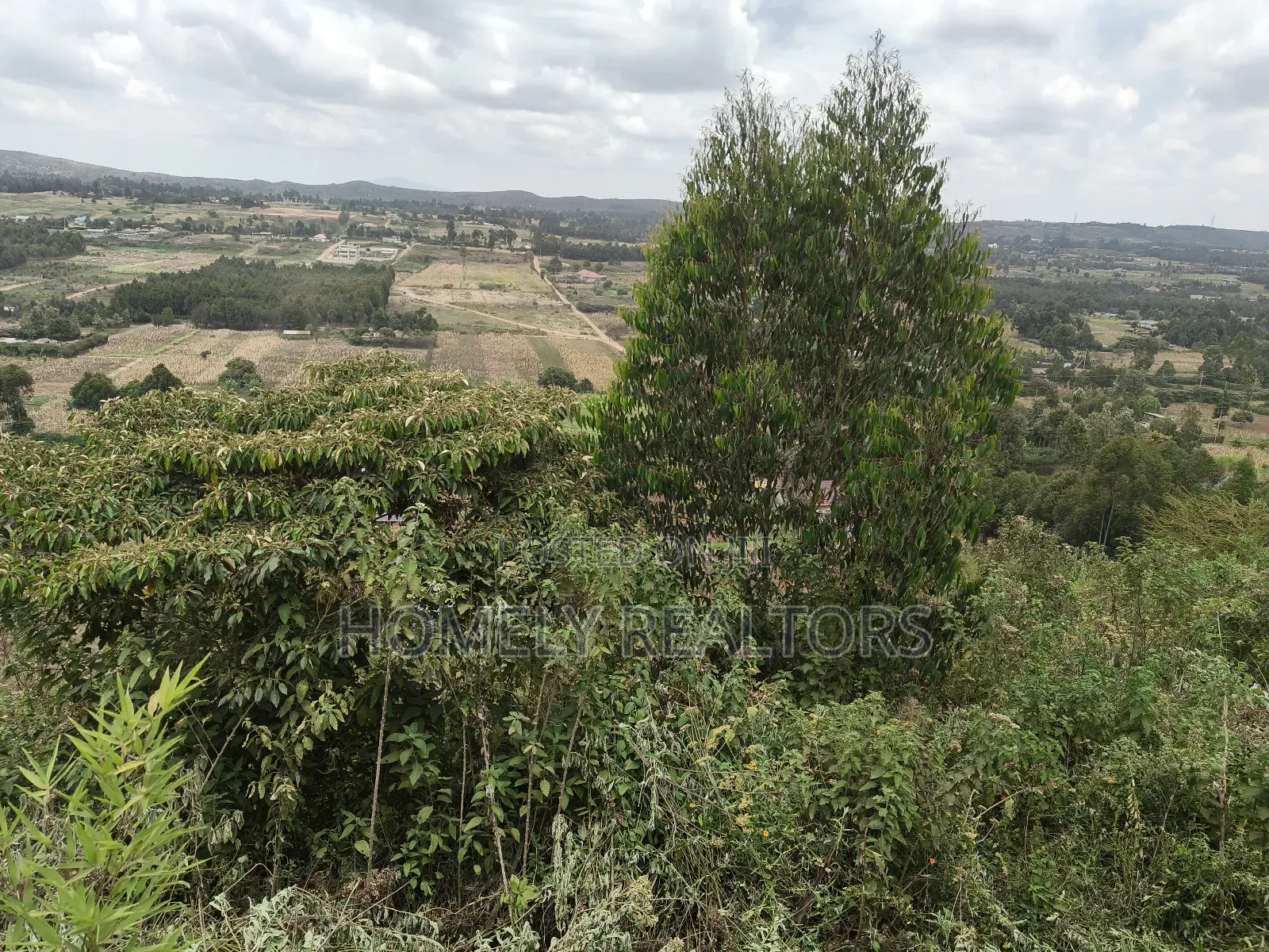 1.25 Acres With a 4-Bedroom Bungalow in Boroti Thigio Near Tarmac in Nderi