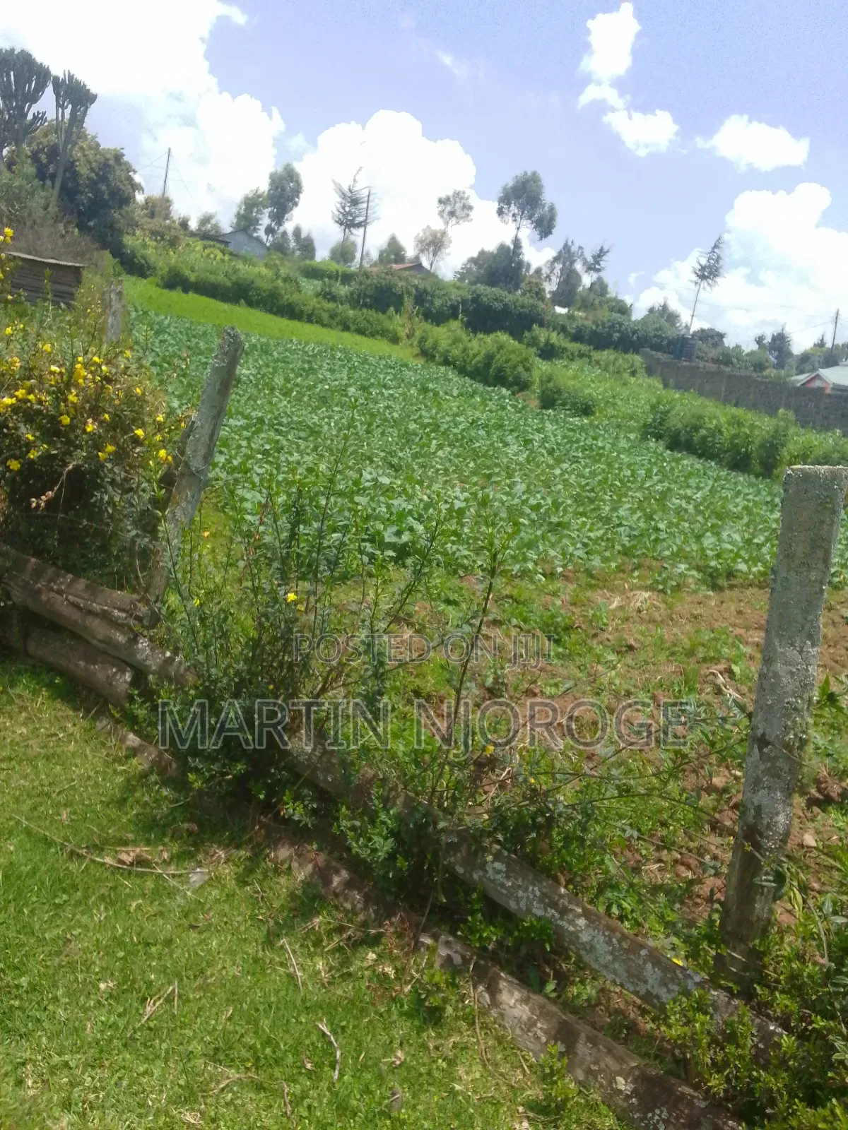 2 Acres Mwendandu in Magumu