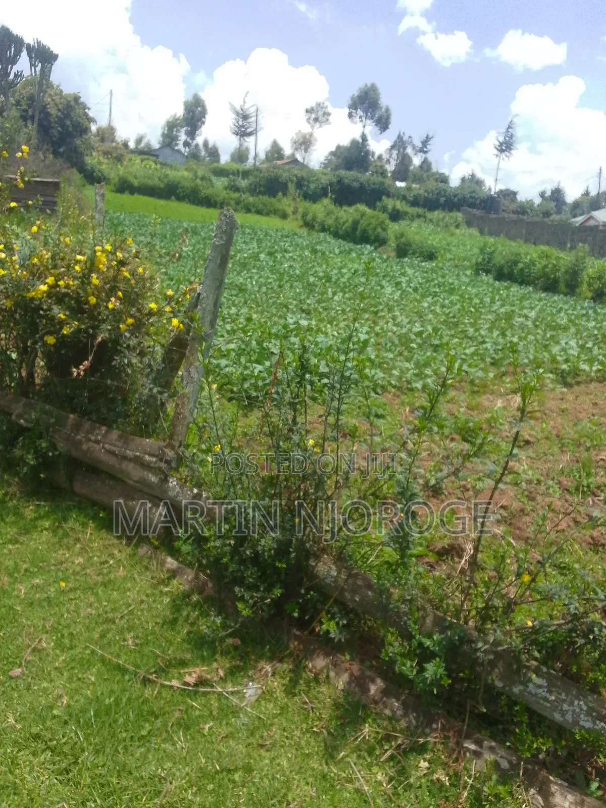 2 Acres Mwendandu in Magumu