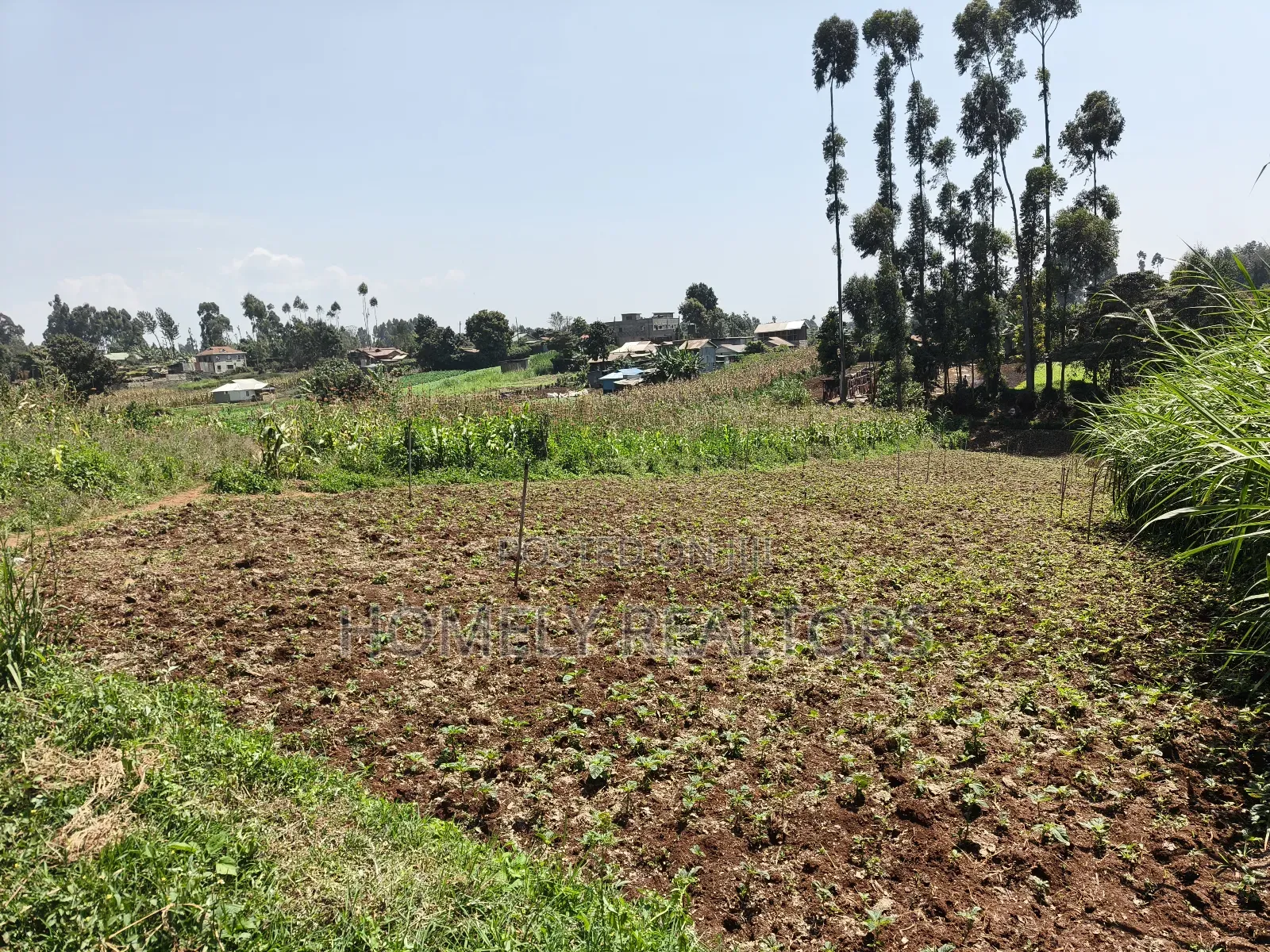 Quarter Acre Plot in Zambezi With Farming Water Connected in Zambezi/Sigona