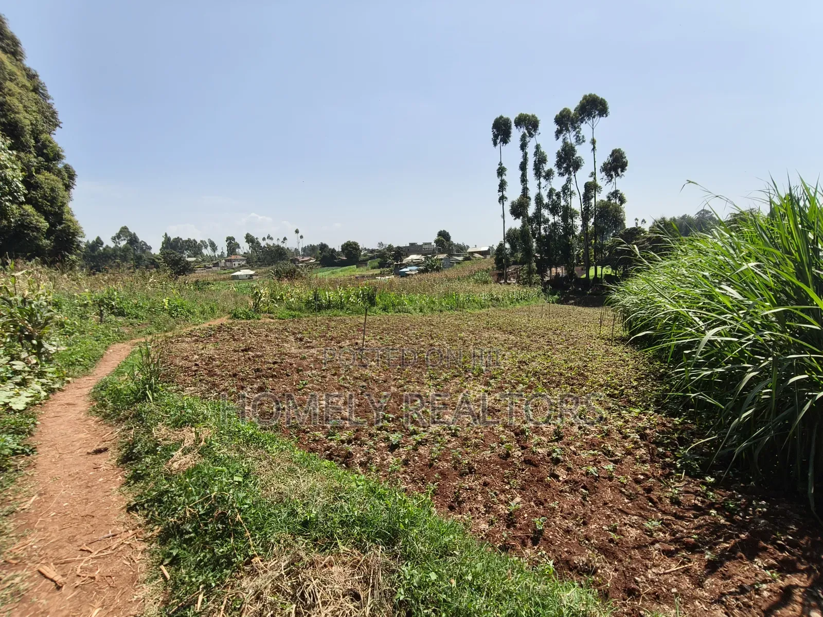 Quarter Acre Plot in Zambezi With Farming Water Connected in Zambezi/Sigona