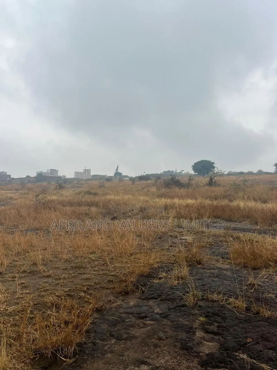 1/8 Plots for Sale Opposite Mang'u High School in Ngoliba