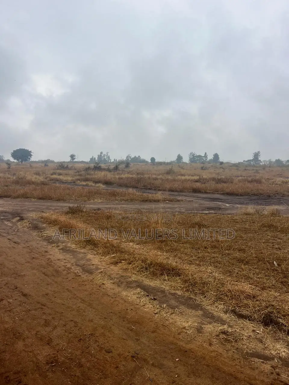 1/8 Plots for Sale Opposite Mang'u High School in Ngoliba