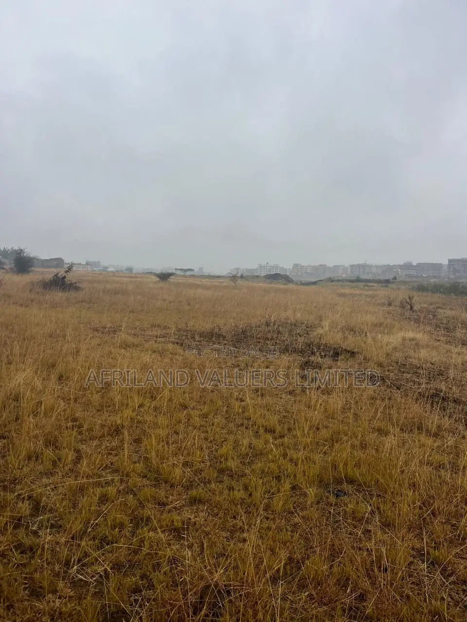 1/8 Plots for Sale Opposite Mang'u High School in Ngoliba