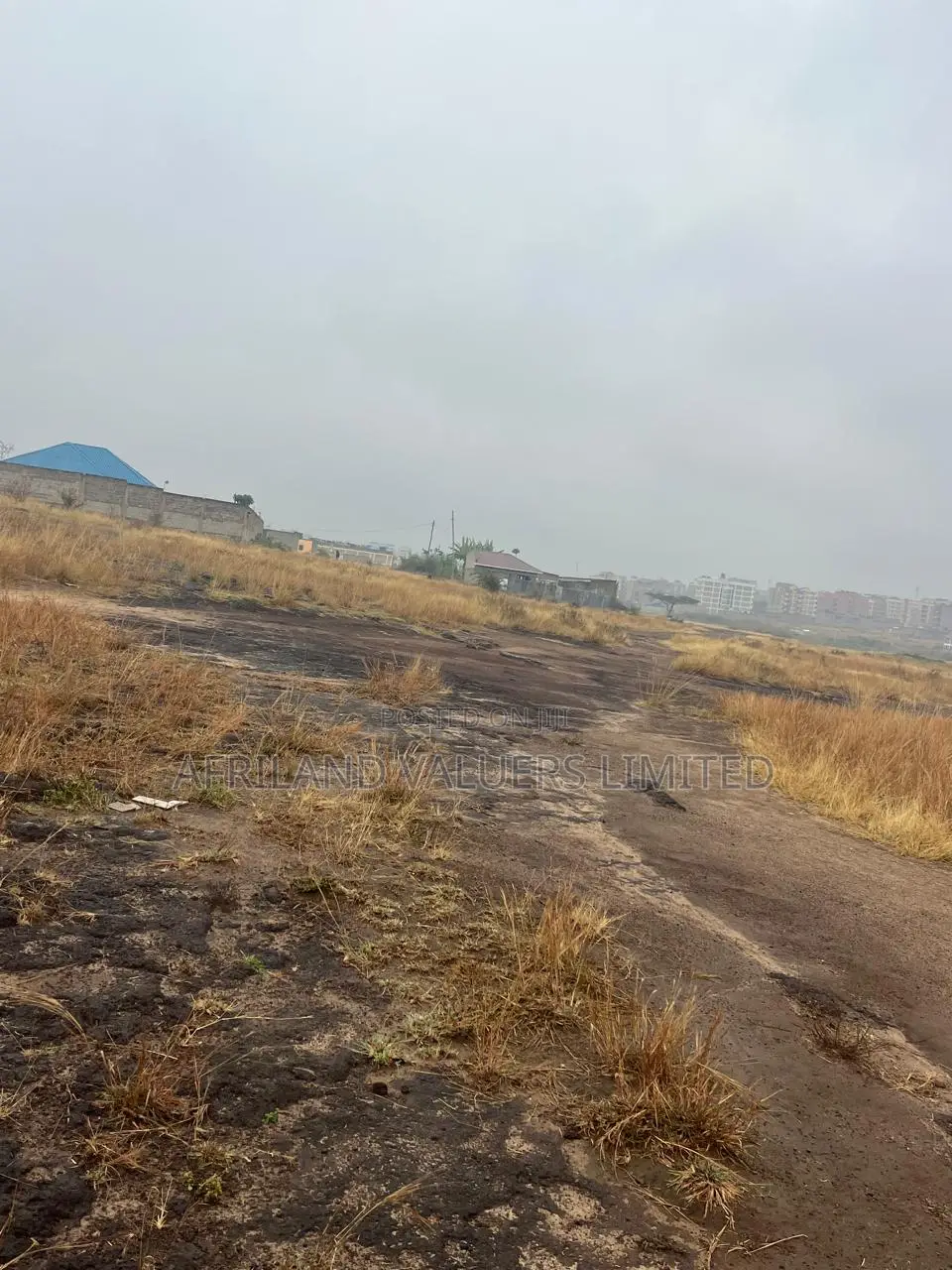 1/8 Plots for Sale Opposite Mang'u High School in Ngoliba
