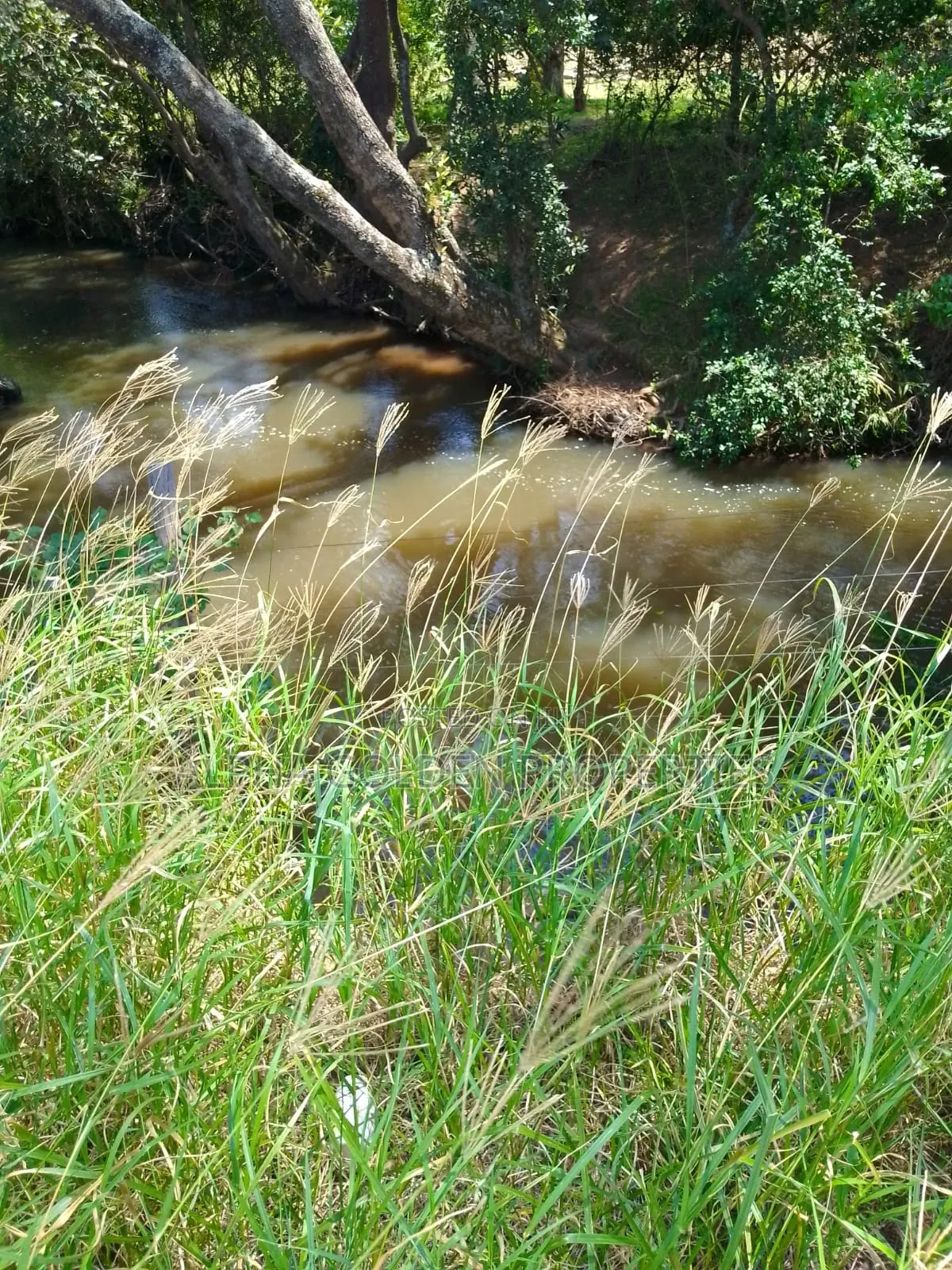 100 Acres in Narumoru in Gakawa