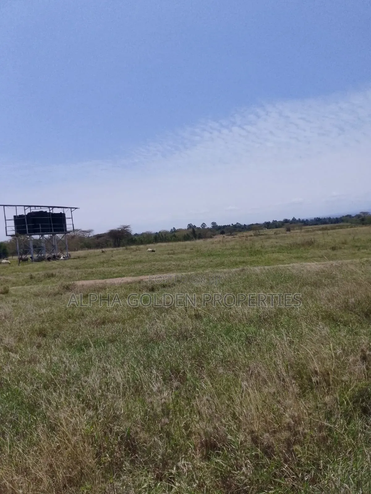 100 Acres in Narumoru in Gakawa