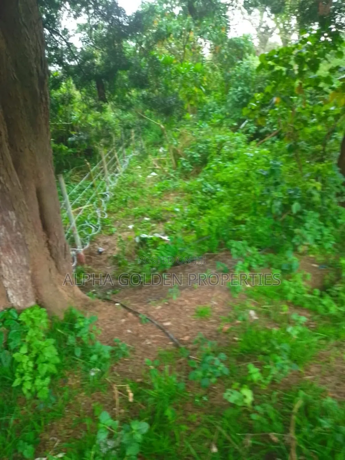 1 Acre in Muthaiga Nanyuki in Gakawa