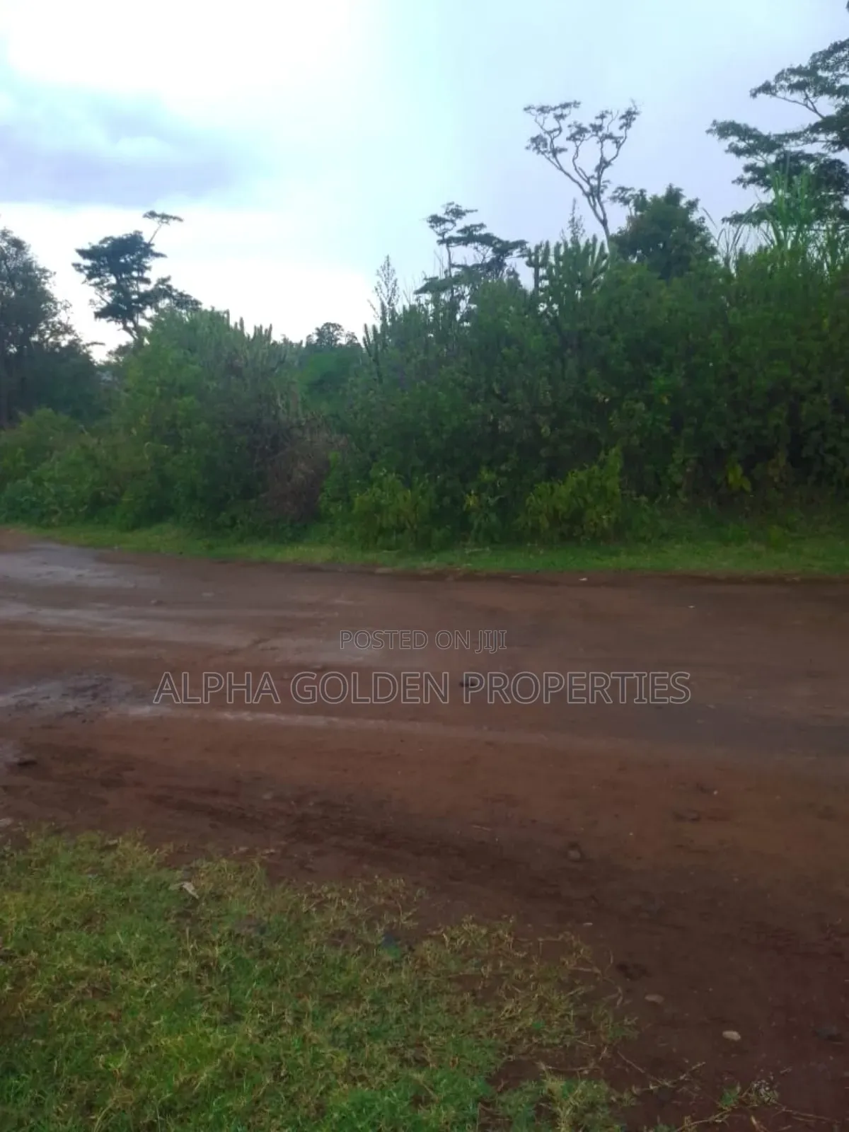 1 Acre in Muthaiga Nanyuki in Gakawa