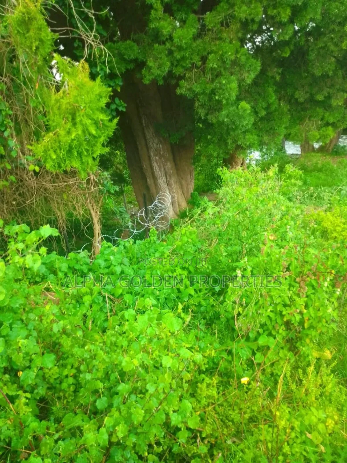 1 Acre in Muthaiga Nanyuki in Gakawa