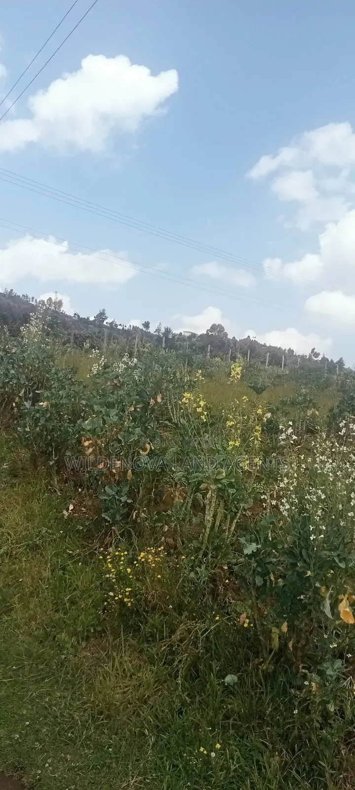 Land on Sale at View Point Flyover Nakuru County in Naivasha East