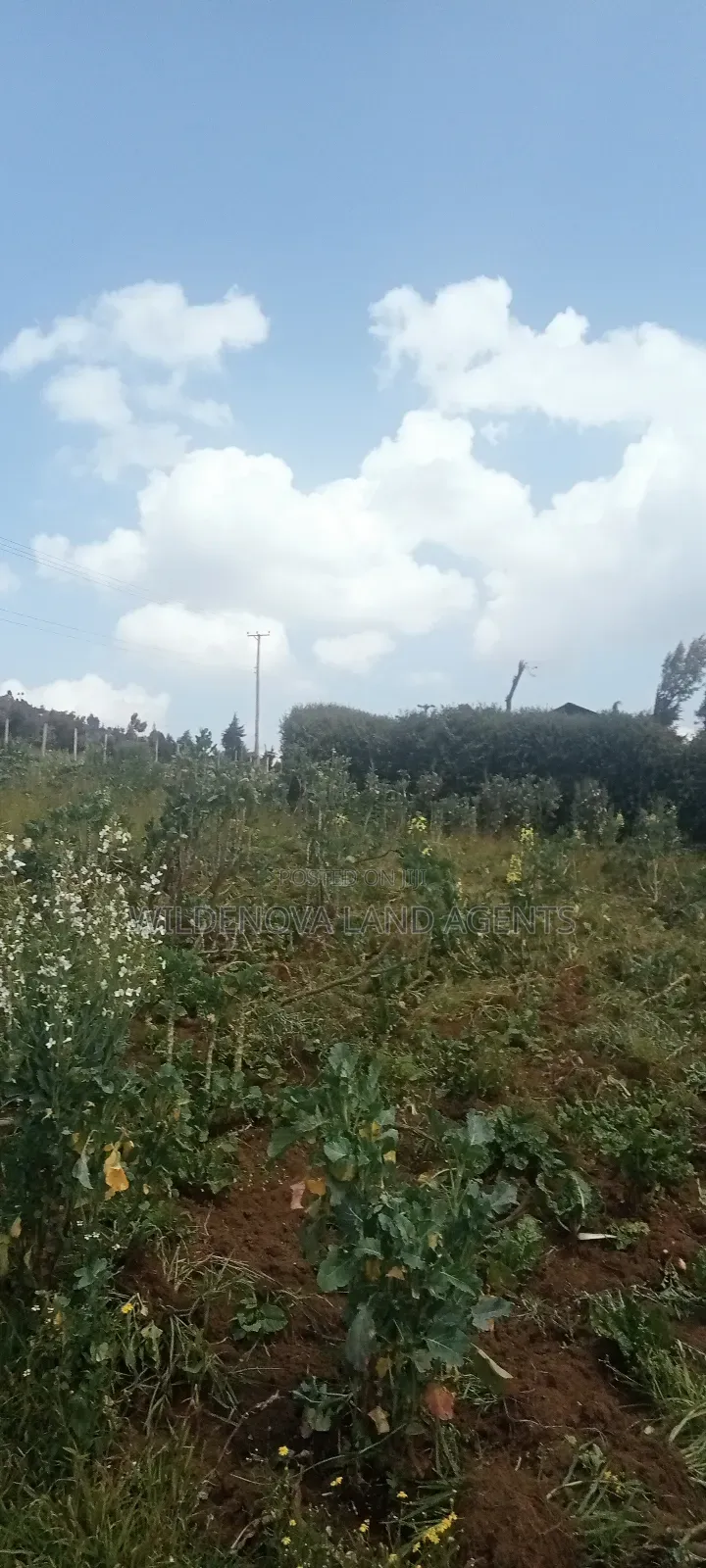 Land on Sale at View Point Flyover Nakuru County in Naivasha East