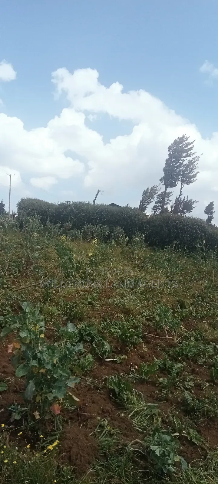 Land on Sale at View Point Flyover Nakuru County in Naivasha East