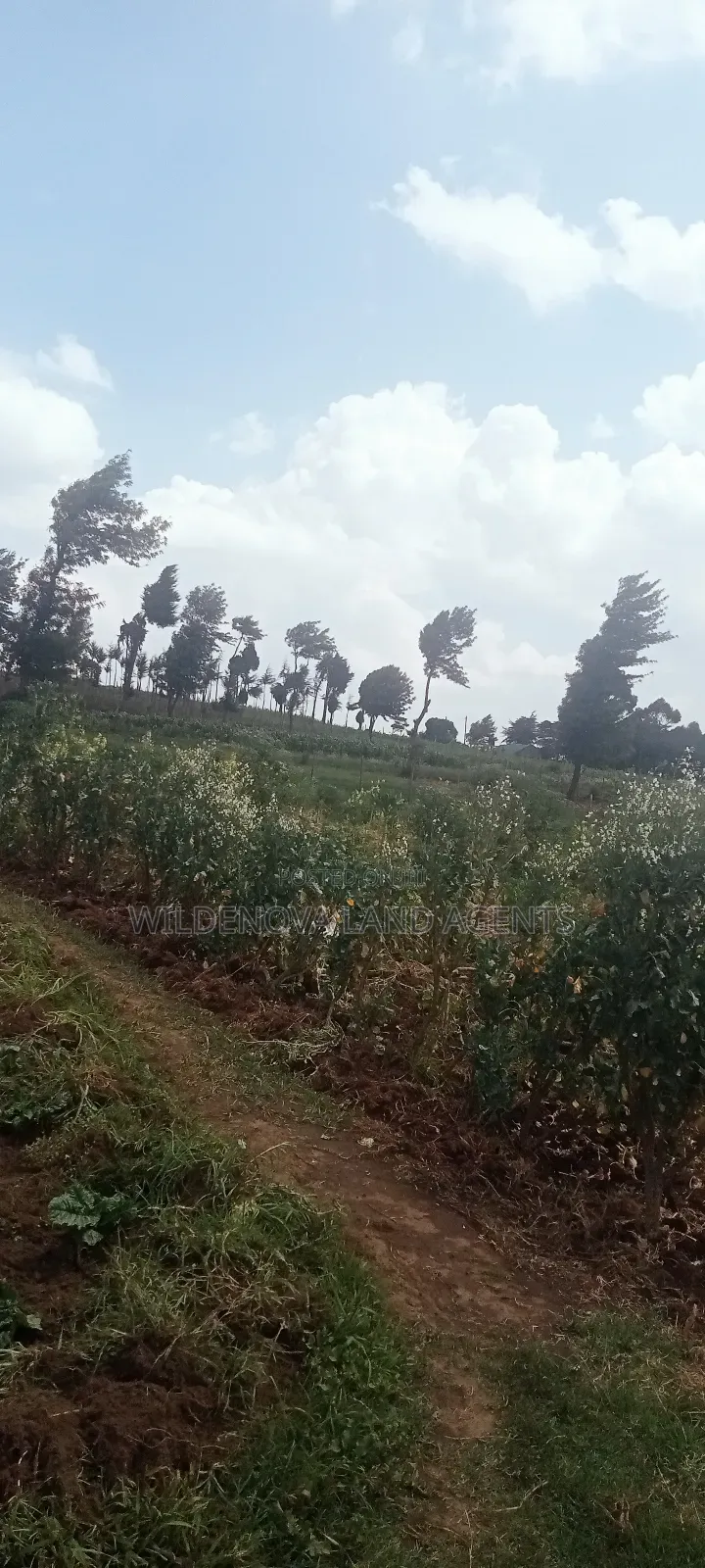 Land on Sale at View Point Flyover Nakuru County in Naivasha East