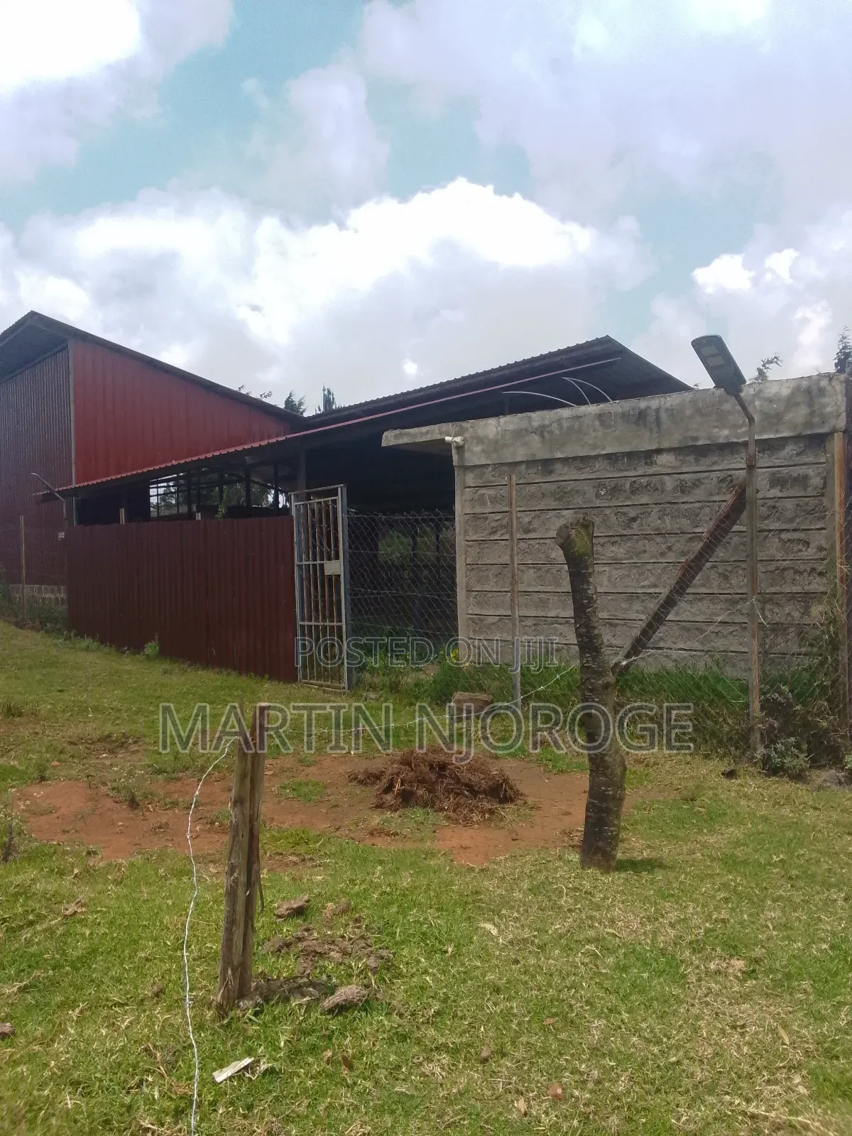 Modern Cow Shed/ Farm Uplands in Lari/Kirenga