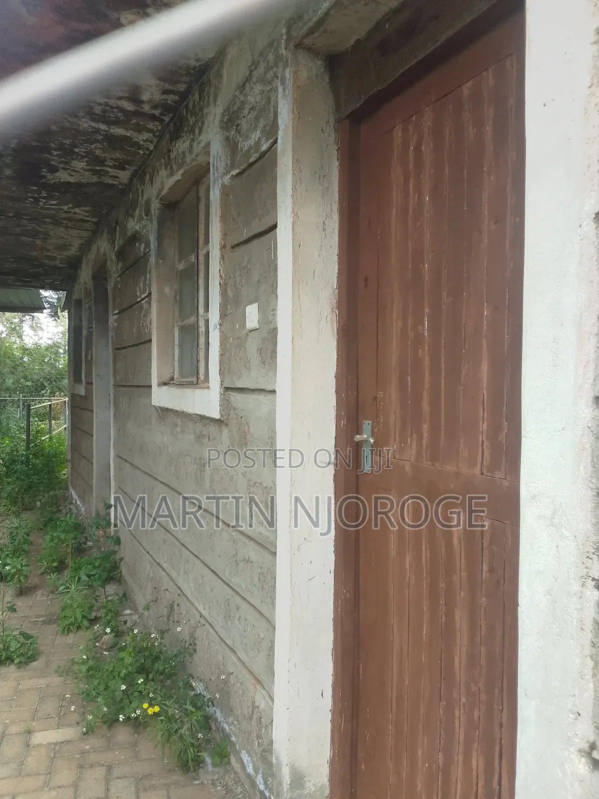 Modern Cow Shed/ Farm Uplands in Lari/Kirenga