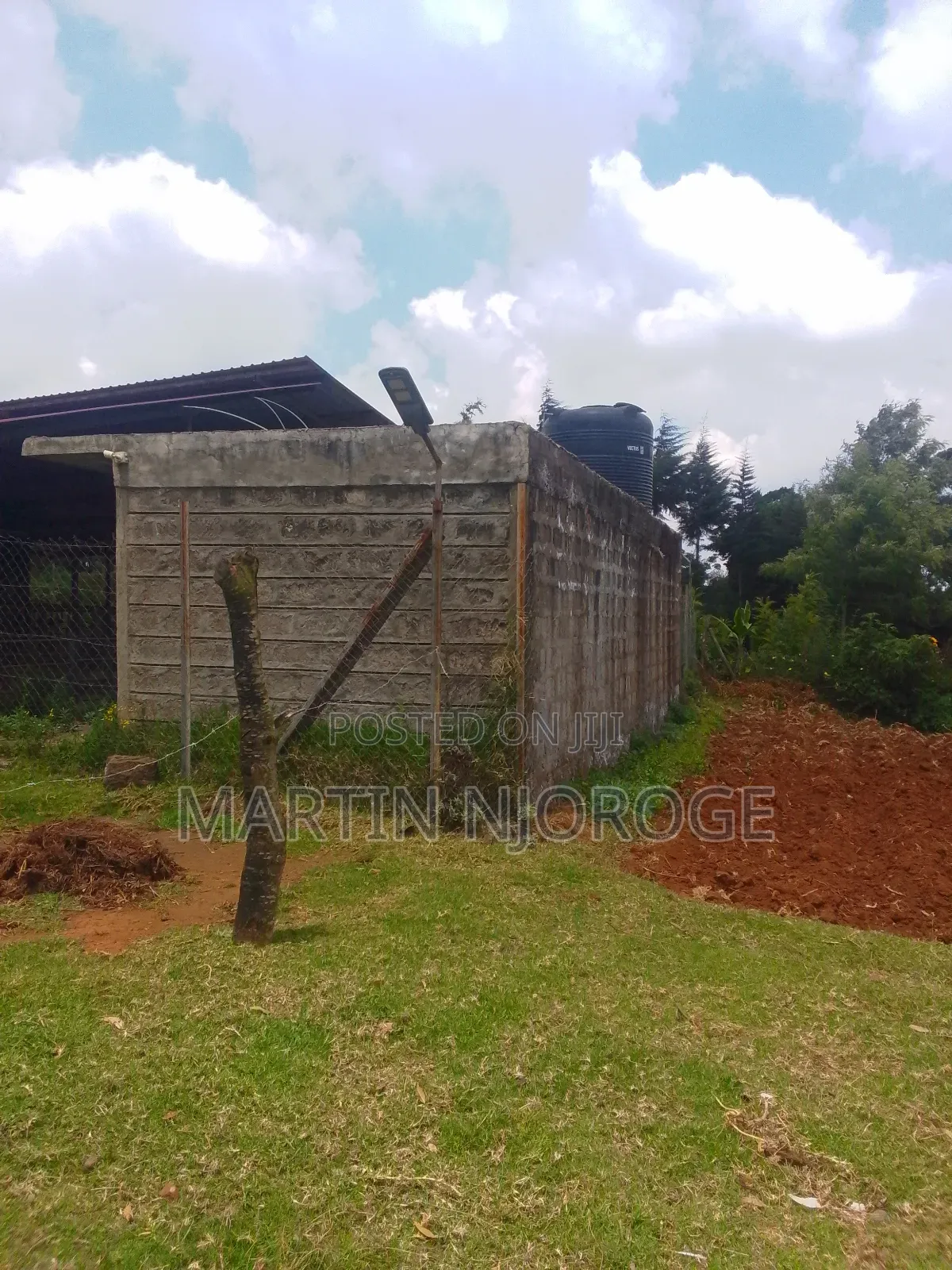 Modern Cow Shed/ Farm Uplands in Lari/Kirenga