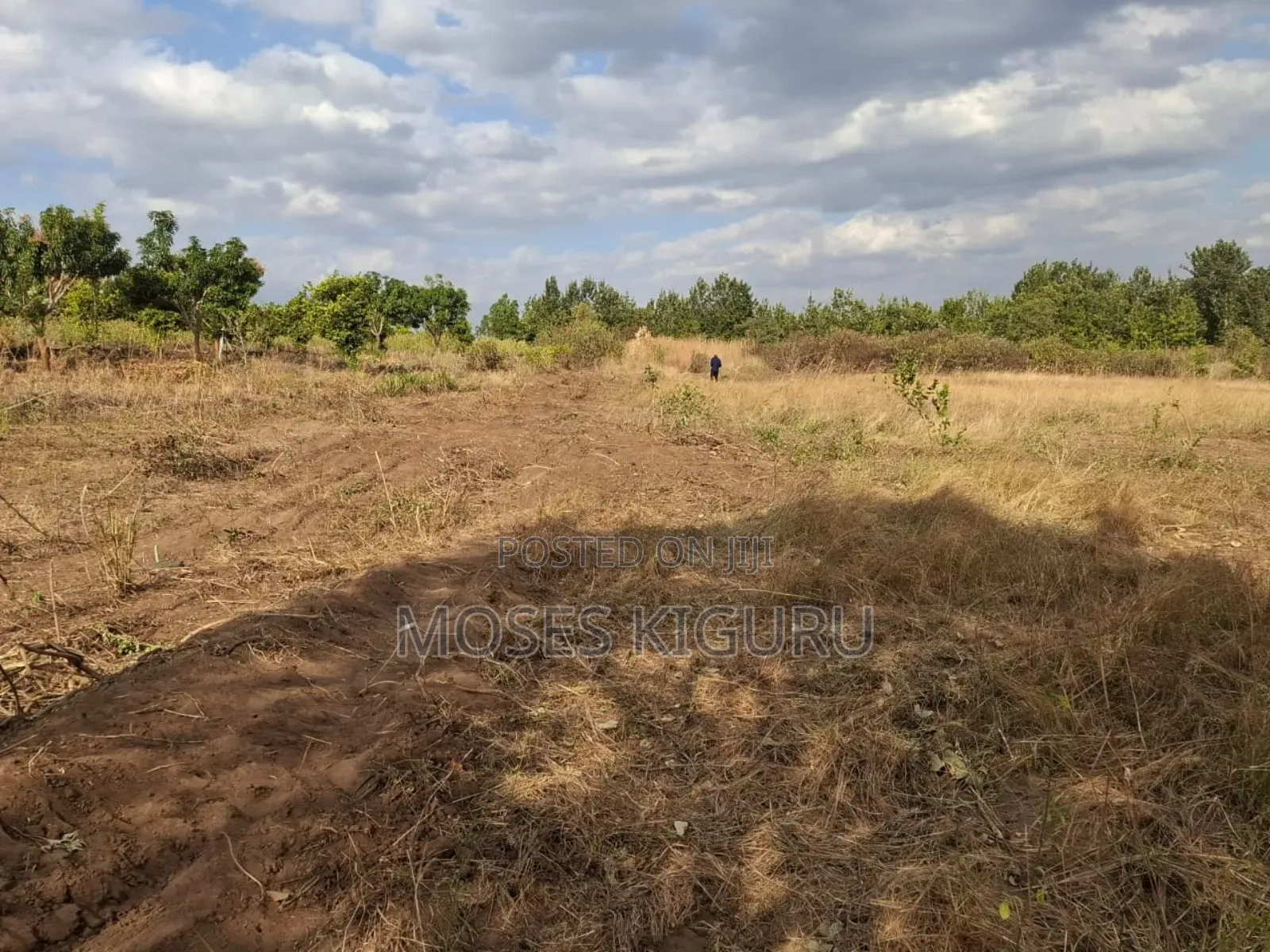 Mananja, 50x100 Plots. in Masinga
