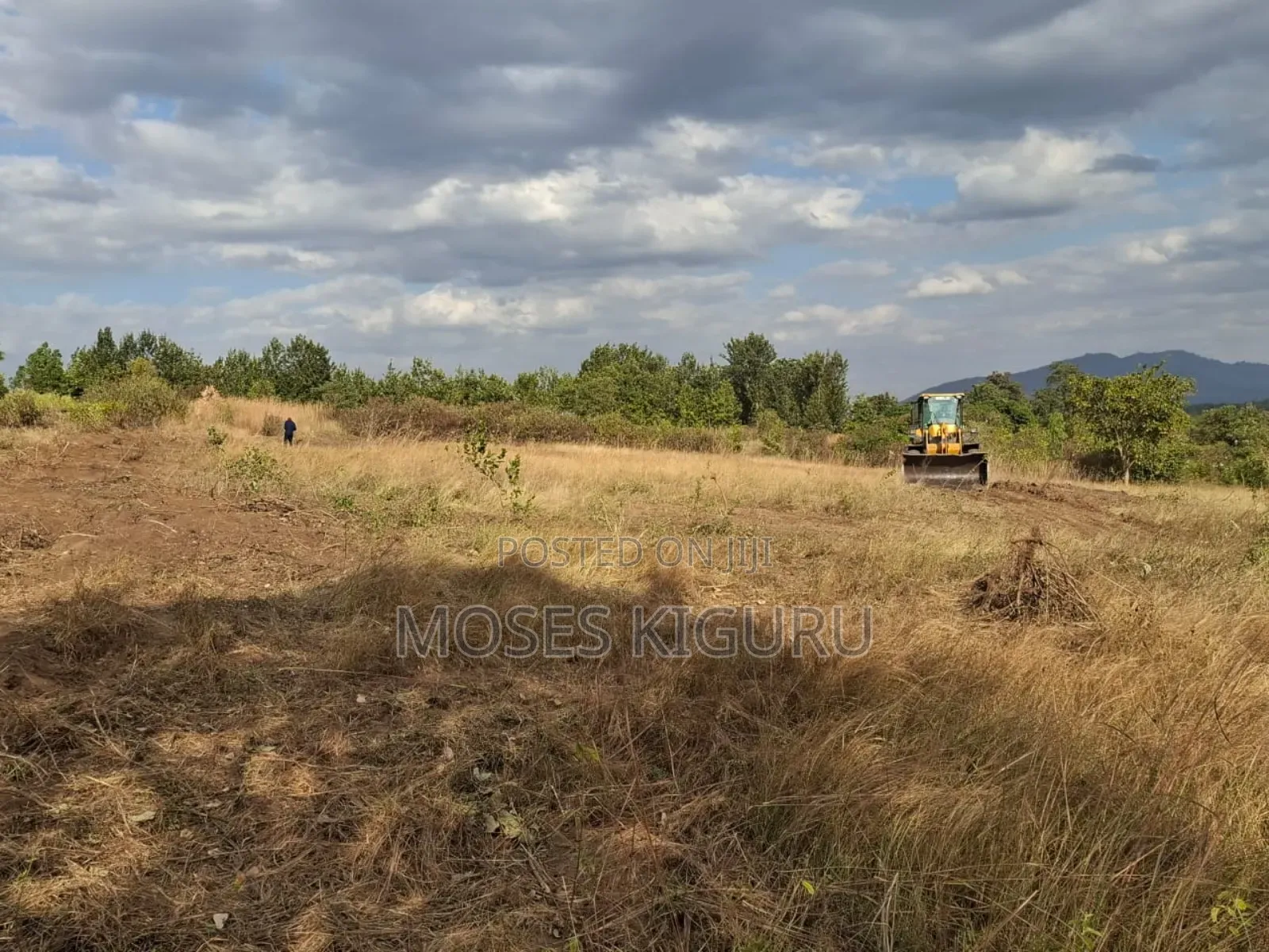 Mananja, 50x100 Plots. in Masinga