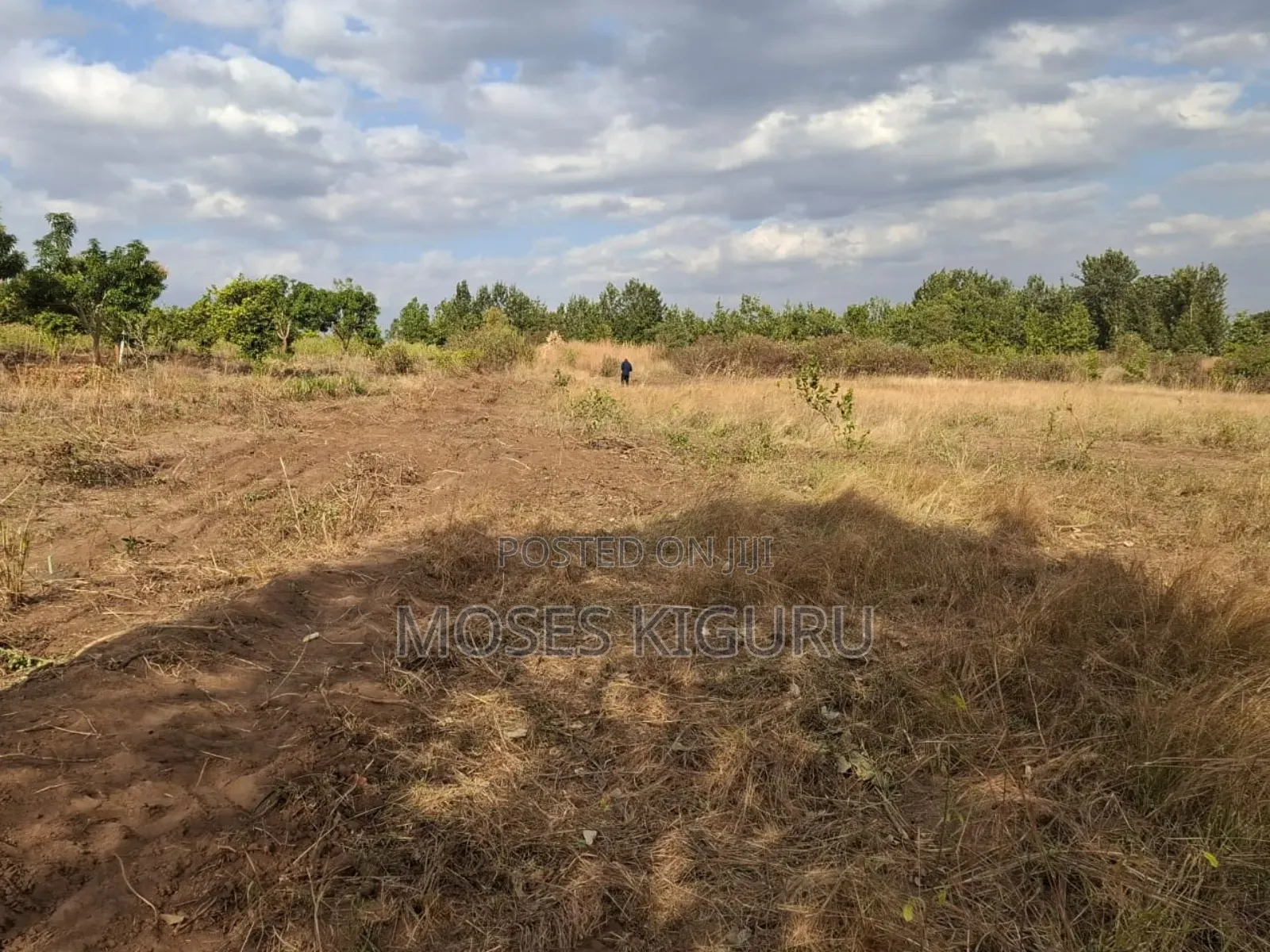 Mananja, 50x100 Plots. in Masinga
