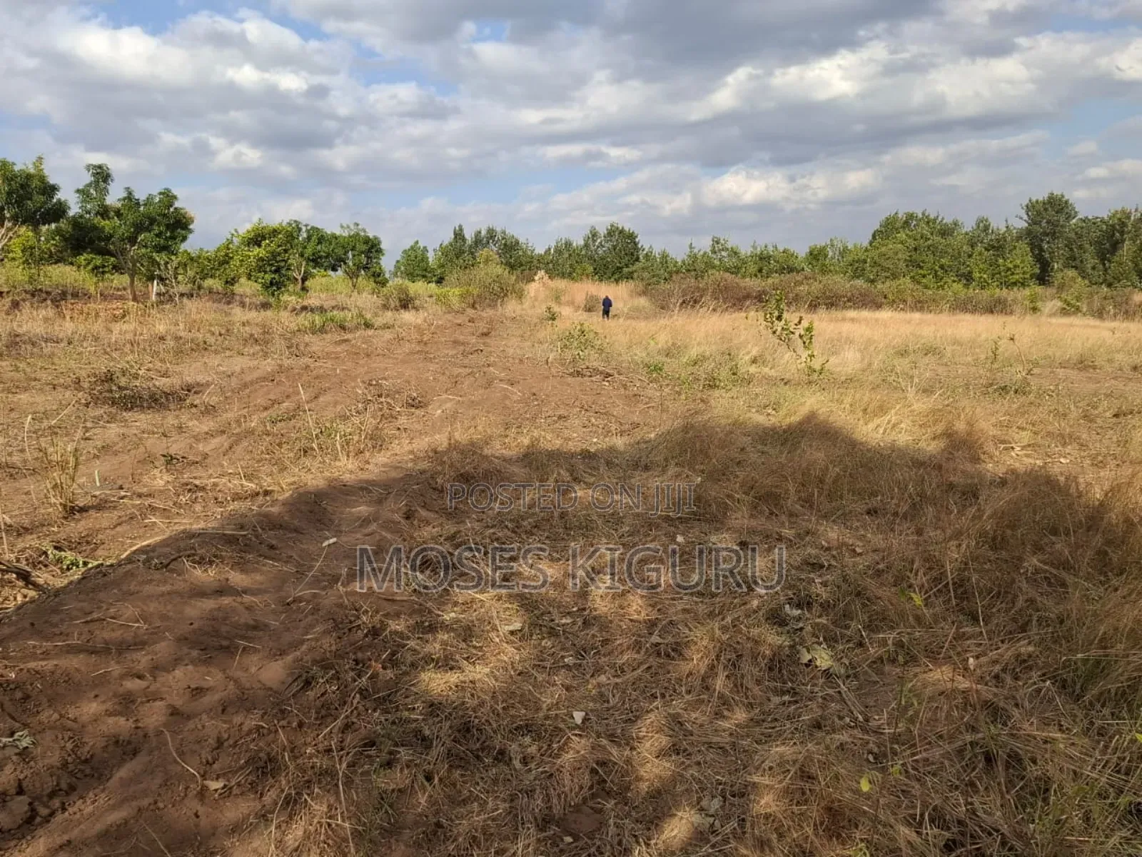 Mananja, 50x100 Plots. in Masinga