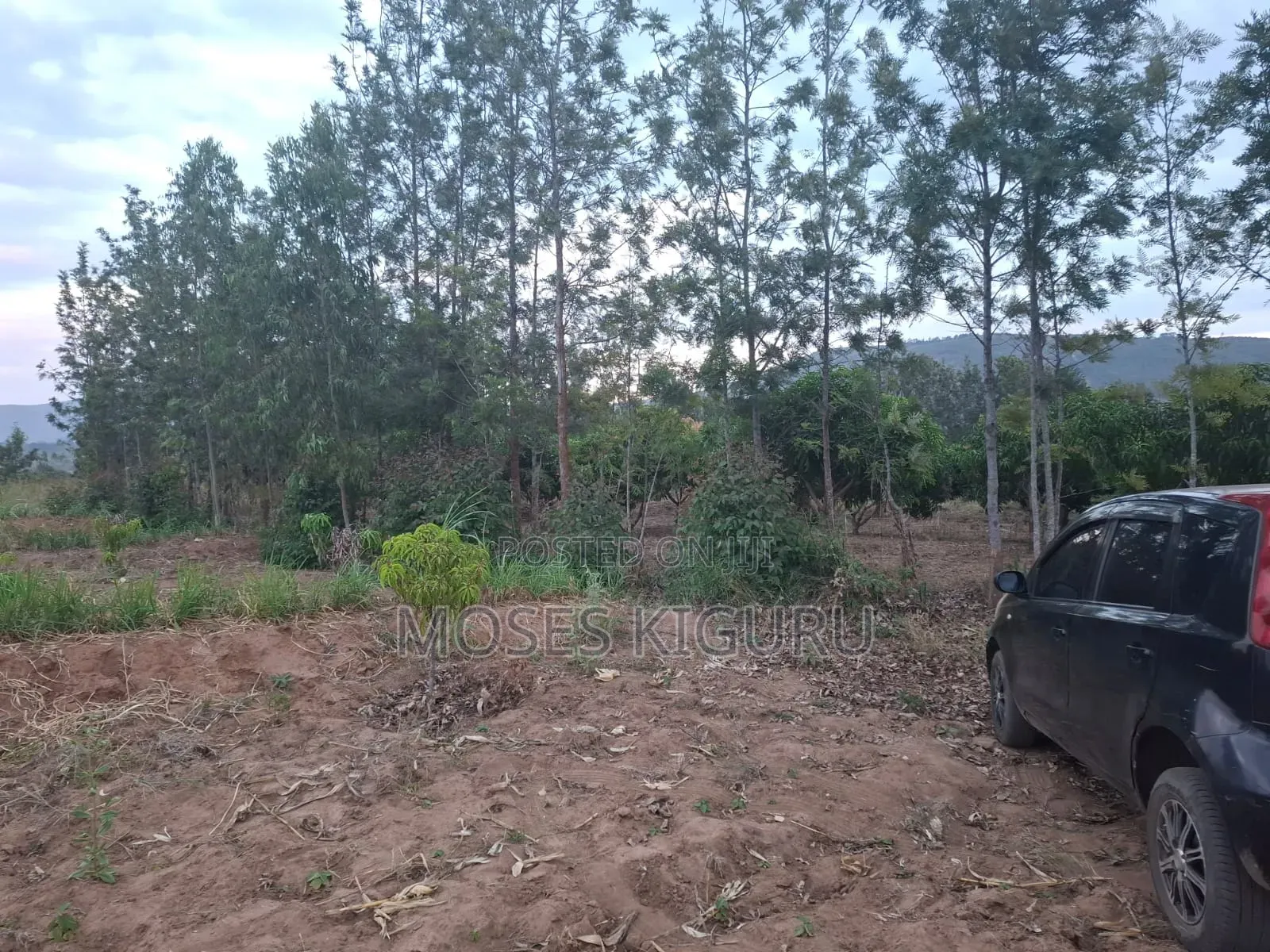 Mananja, 50x100 Plots. in Masinga