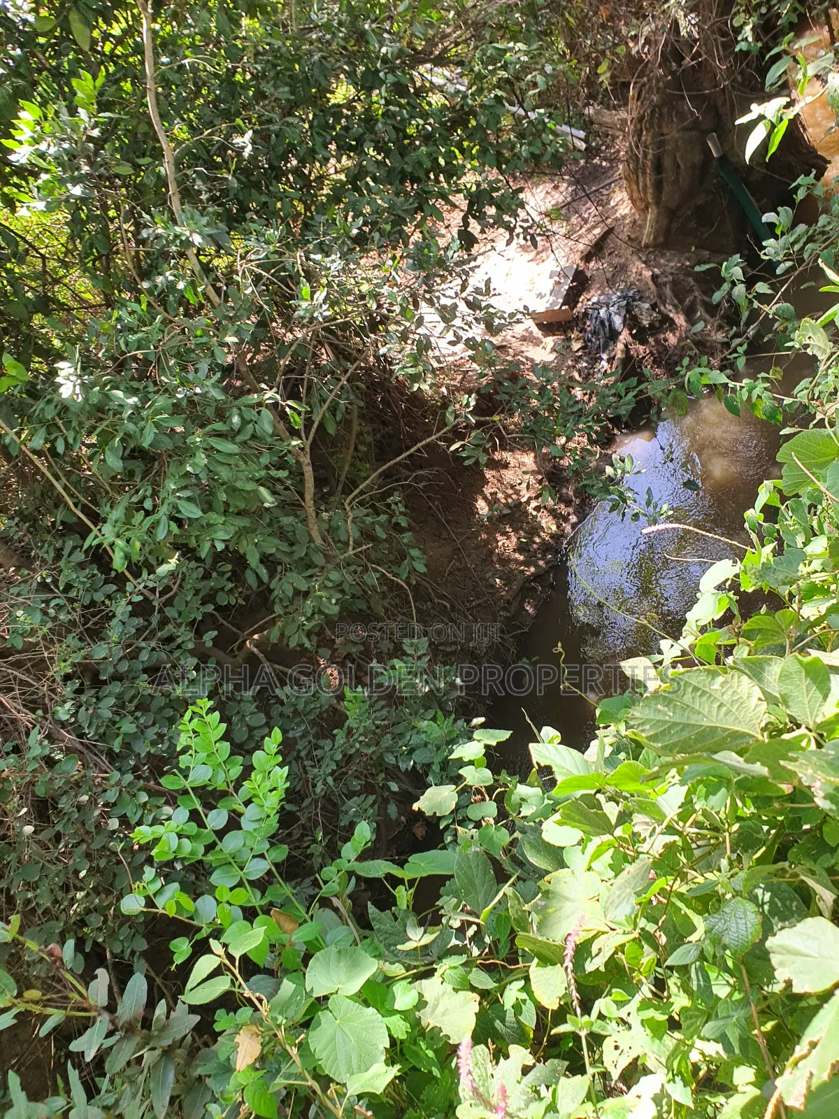 1 Acre Mirera Nanyuki in Nanyuki
