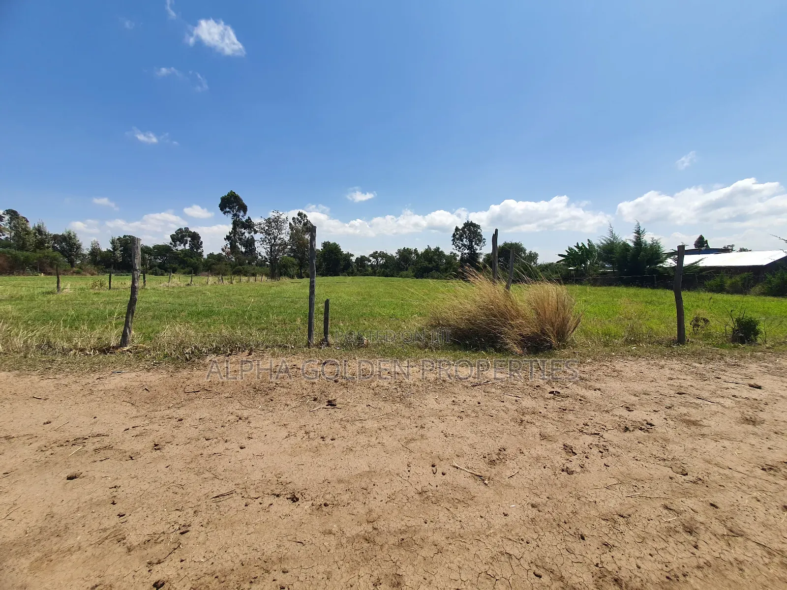 1 Acre Mirera Nanyuki in Nanyuki