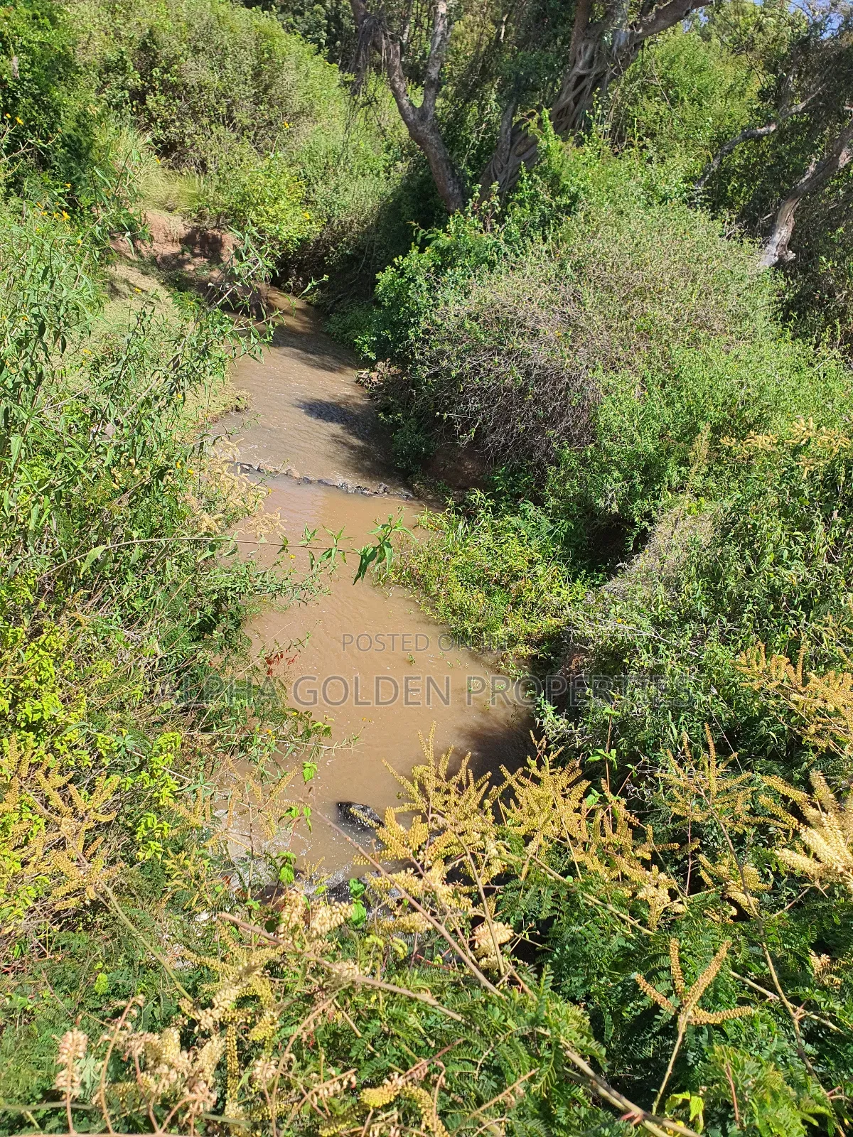 1 Acre Mirera Nanyuki in Nanyuki