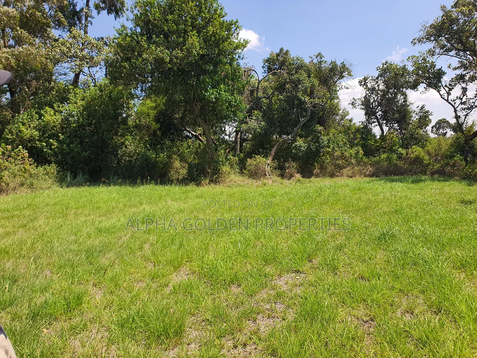 1 Acre Mirera Nanyuki in Nanyuki
