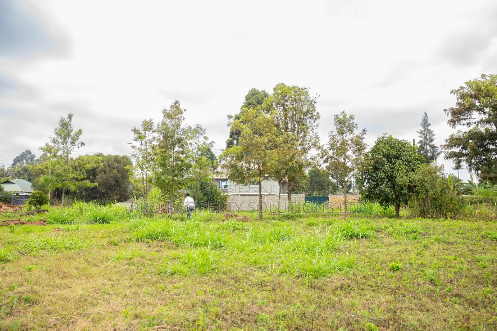 Prime Residential Plots for Sale in Kikuyu, Mai-Ii-Ihii in Kikuyu