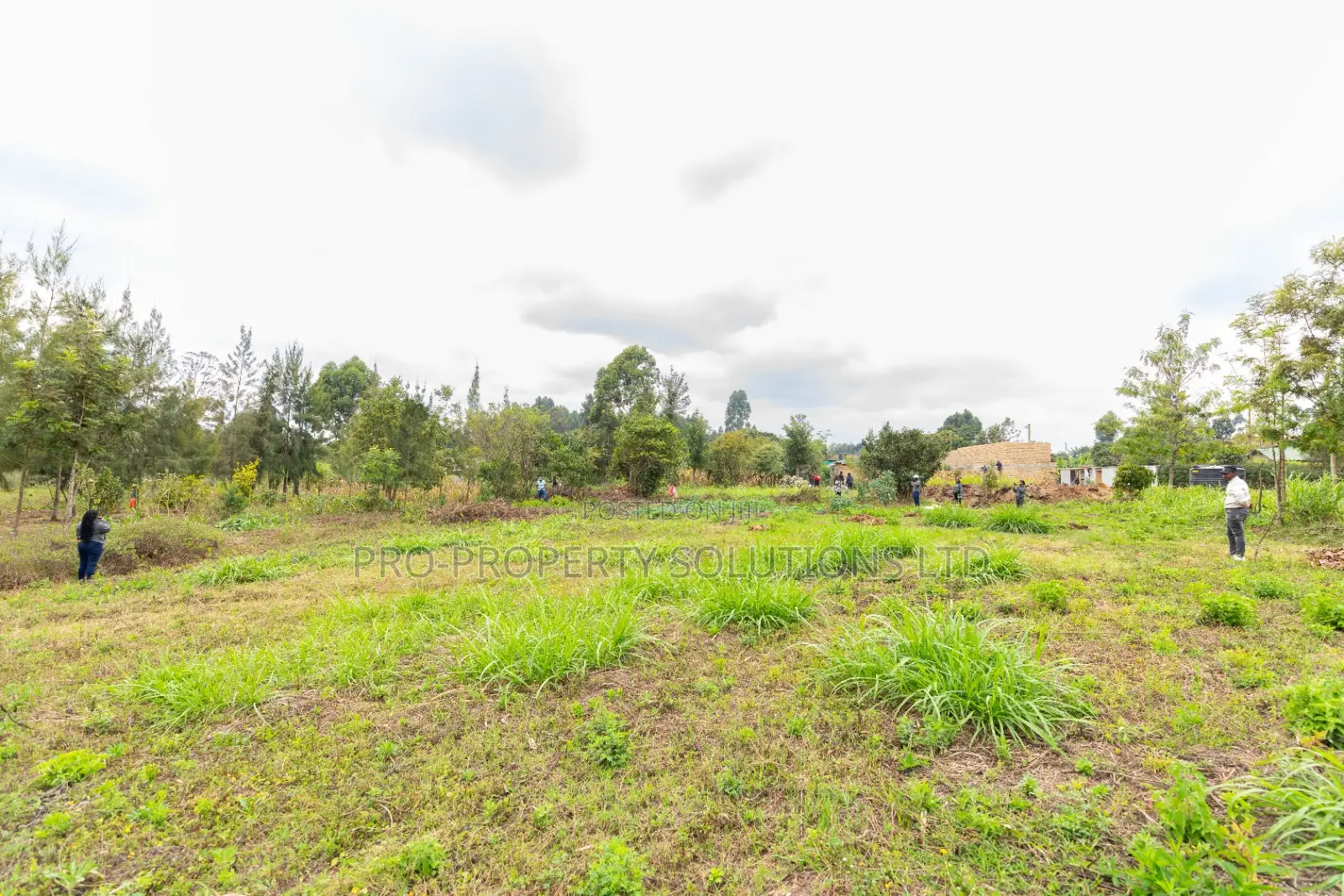Prime Residential Plots for Sale in Kikuyu, Mai-Ii-Ihii in Kikuyu